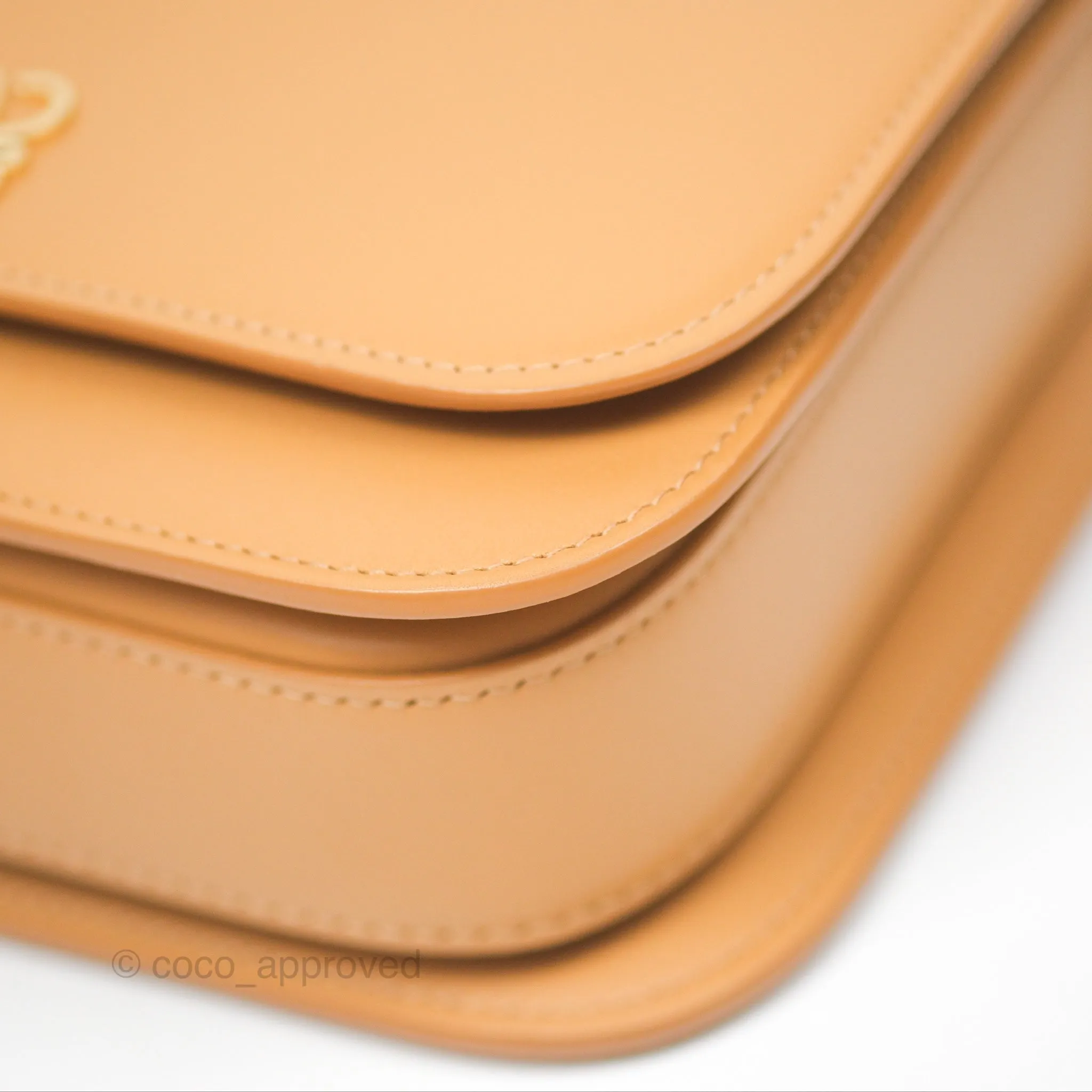 Loewe Small Goya Bag Warm Desert Silk Calfskin