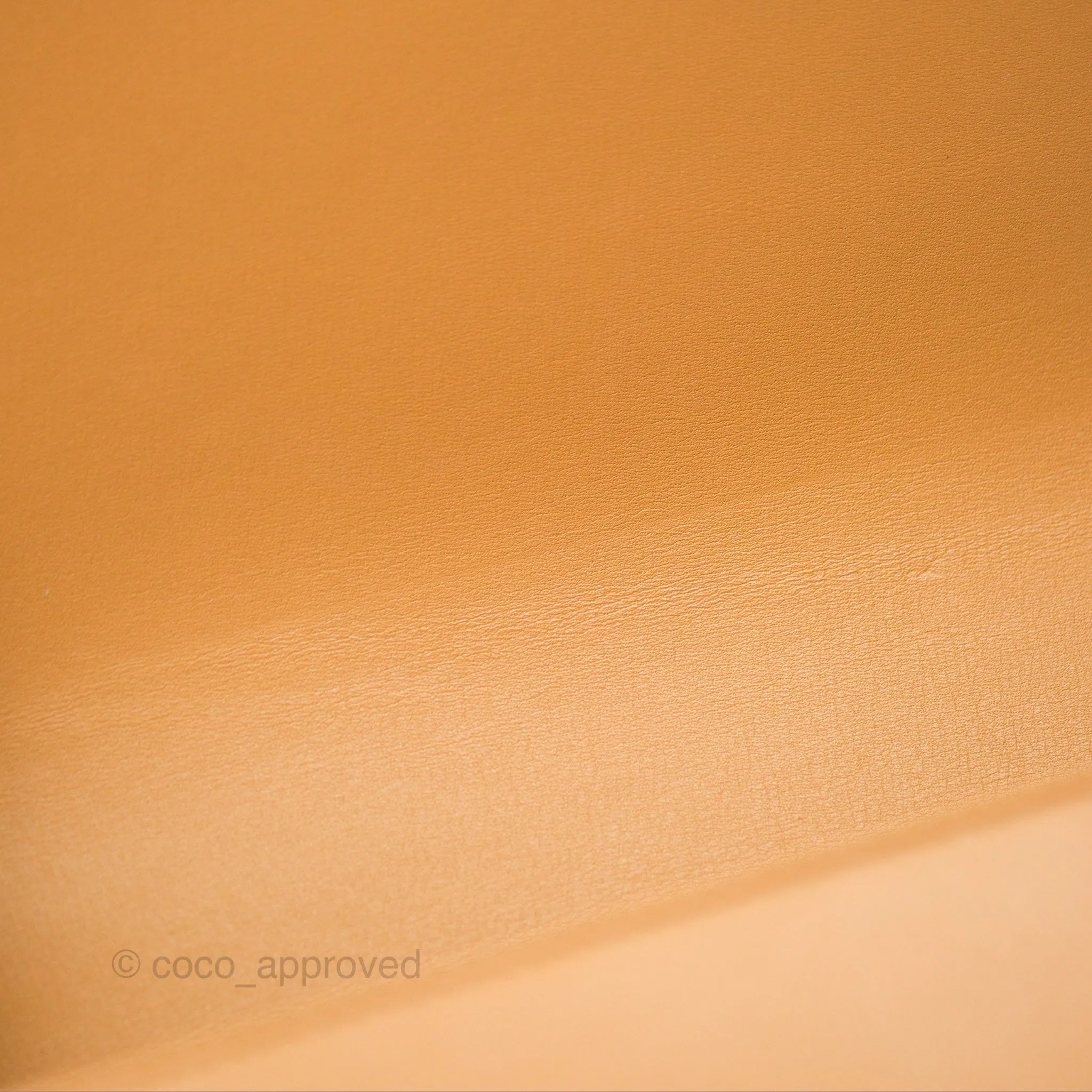 Loewe Small Goya Bag Warm Desert Silk Calfskin