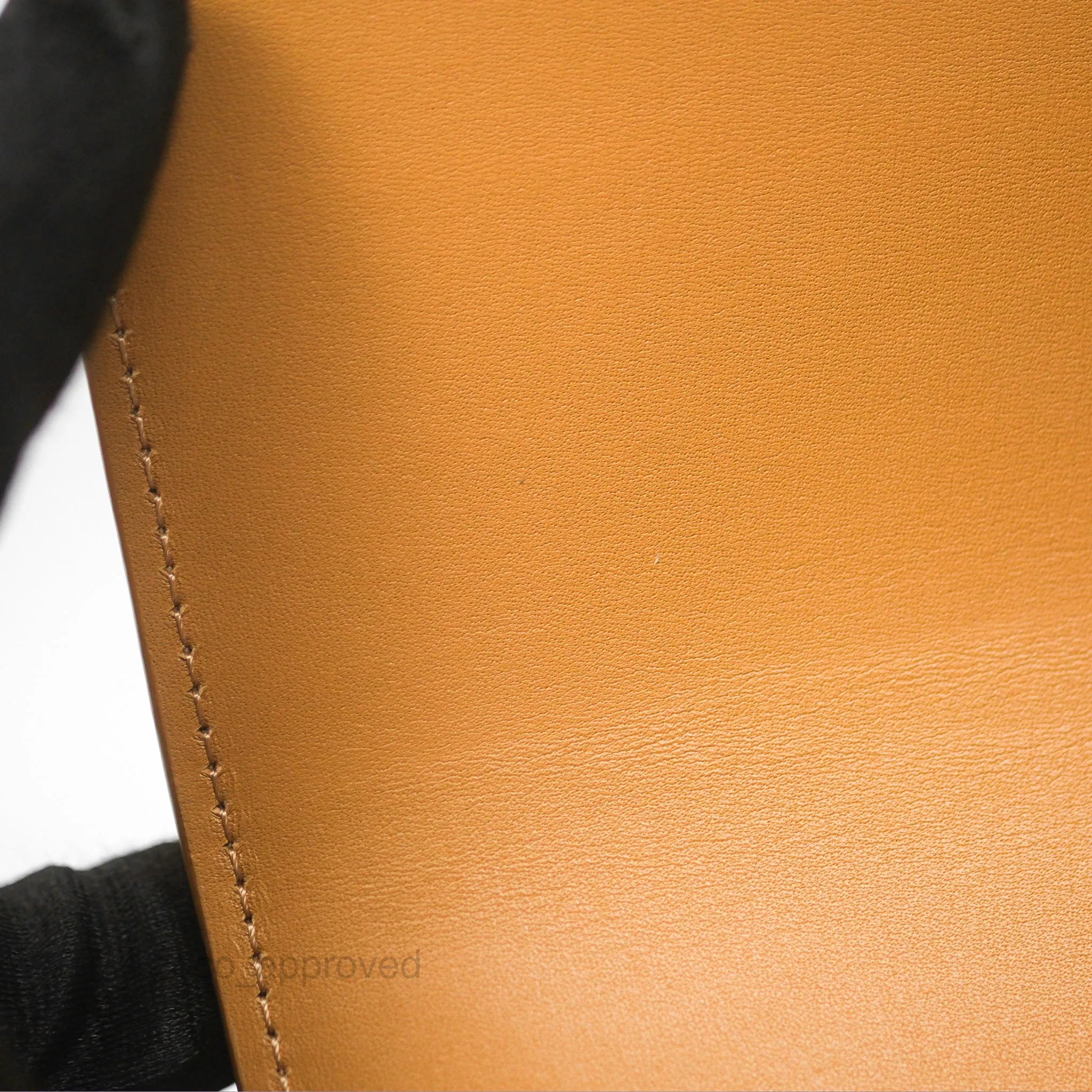 Loewe Small Goya Bag Warm Desert Silk Calfskin