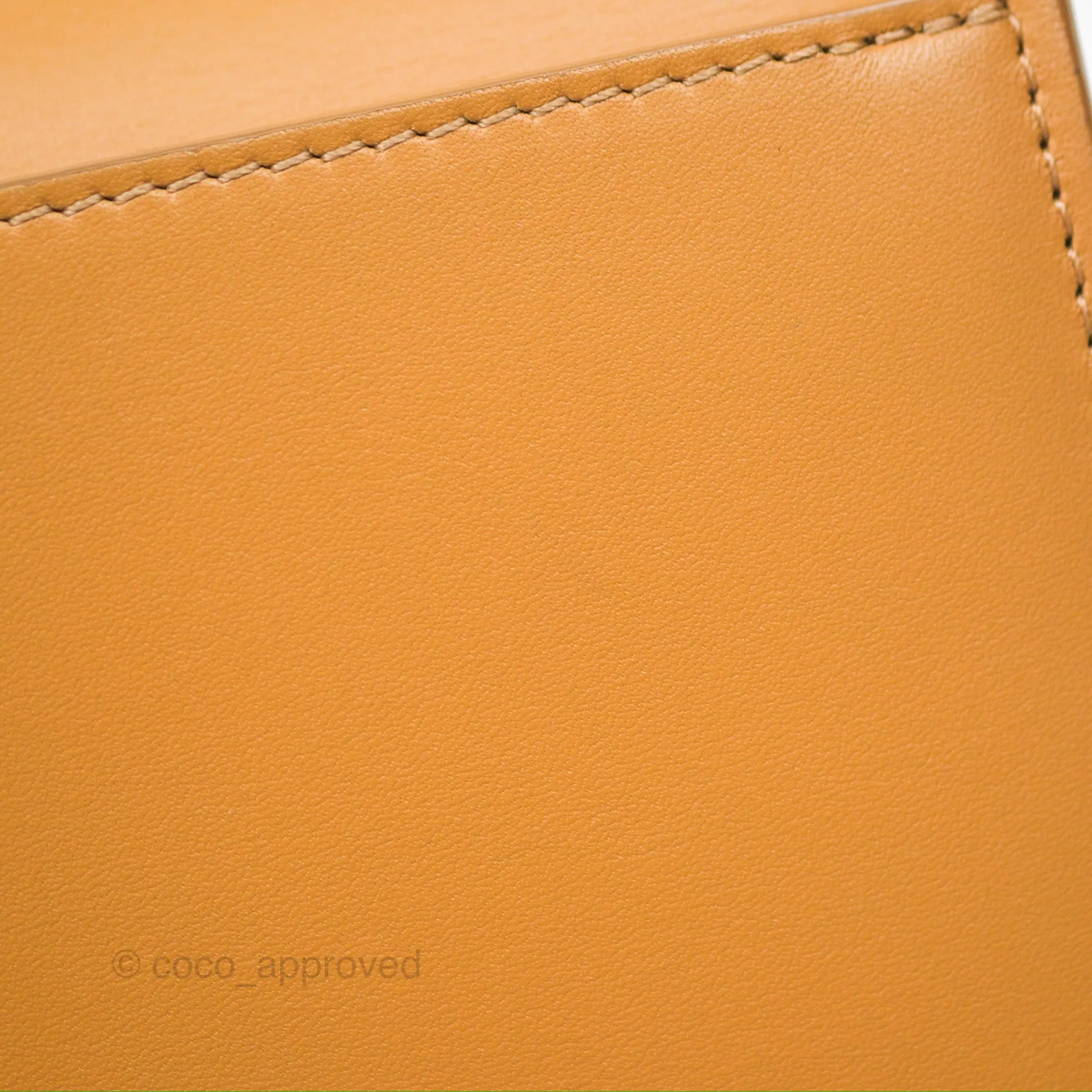 Loewe Small Goya Bag Warm Desert Silk Calfskin