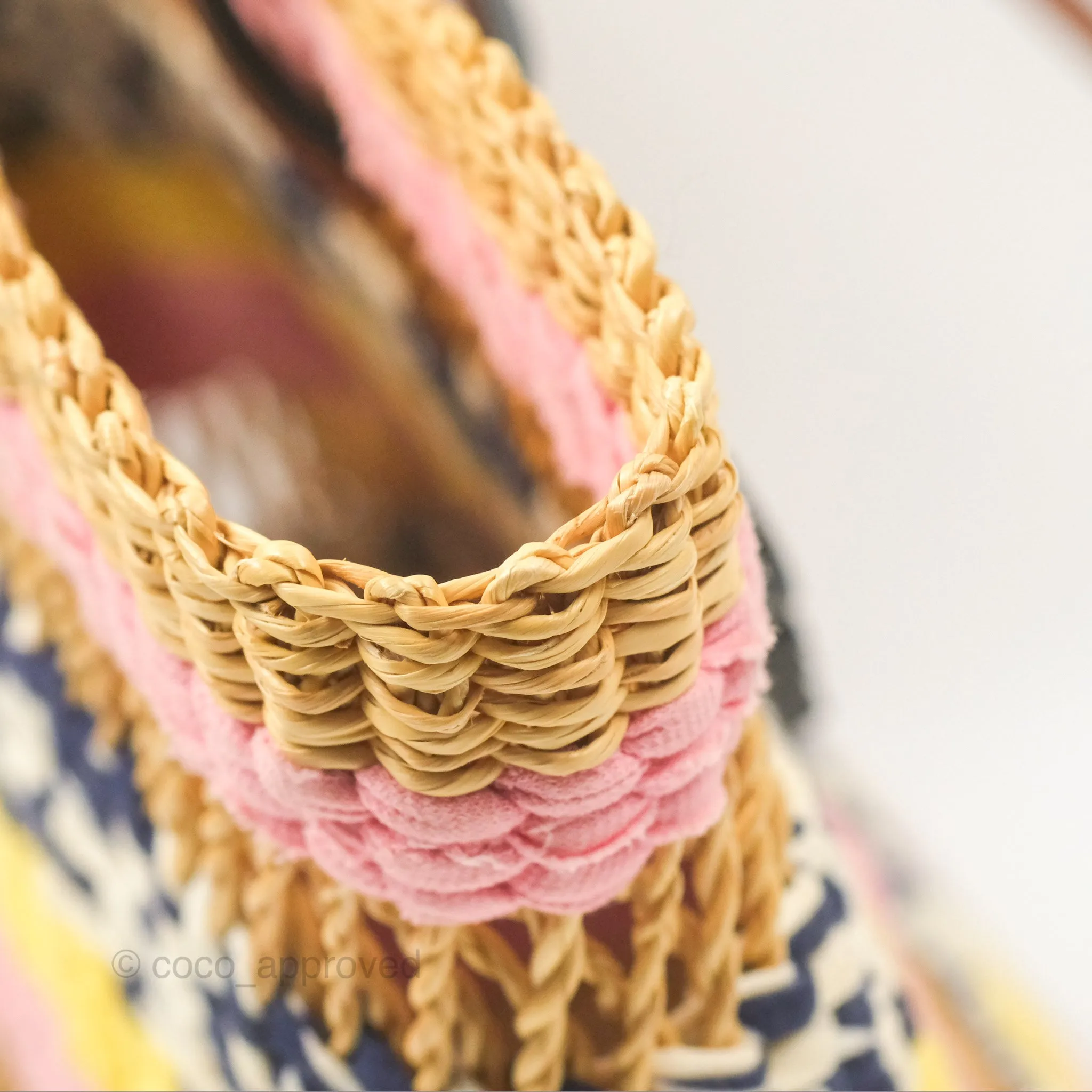 Loewe x Paula's Ibiza Striped Raffia Basket Bag