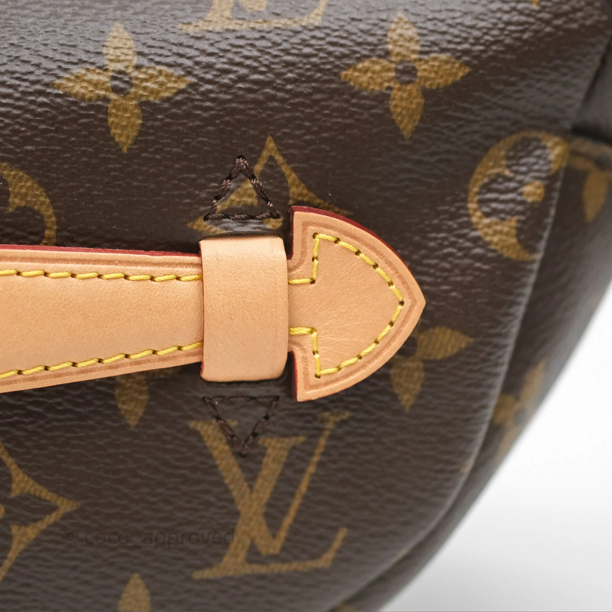 Louis Vuitton Bum Bag Monogram Canvas