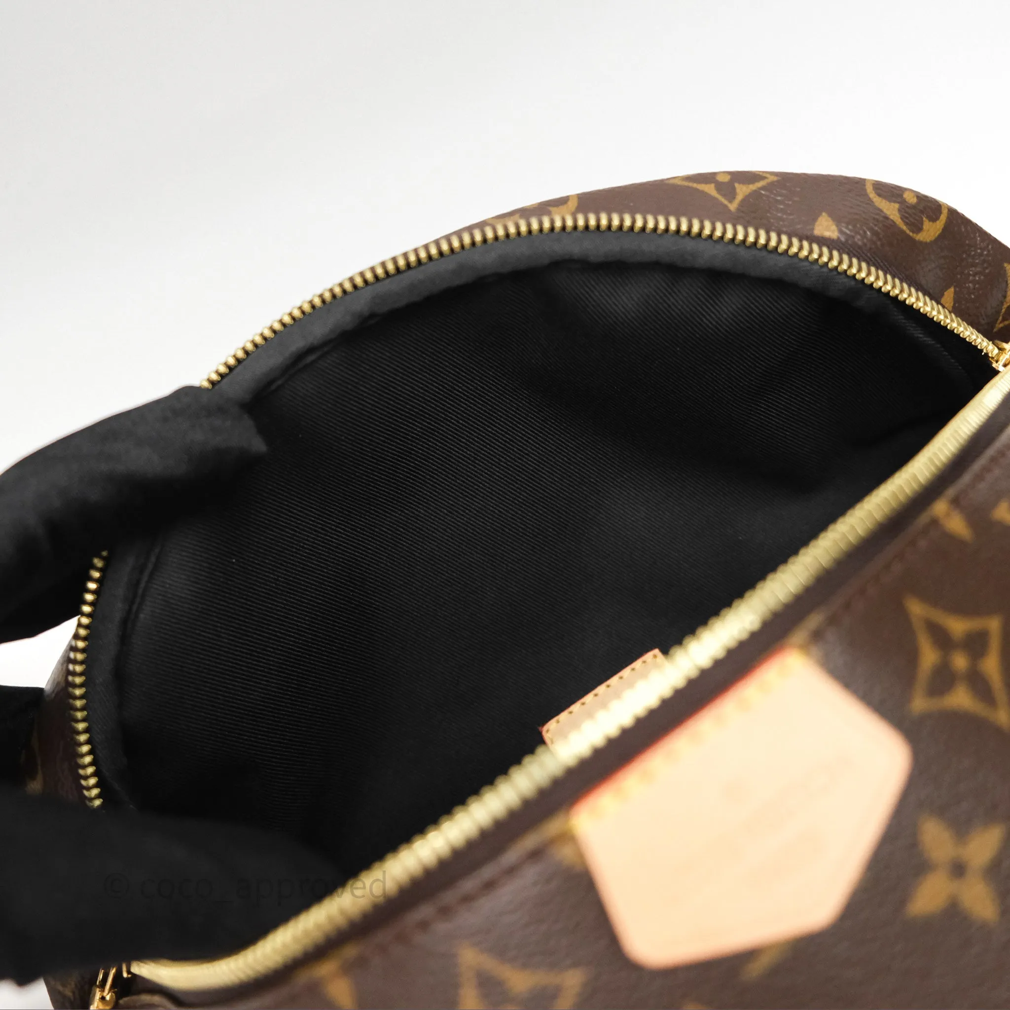 Louis Vuitton Bum Bag Monogram Canvas