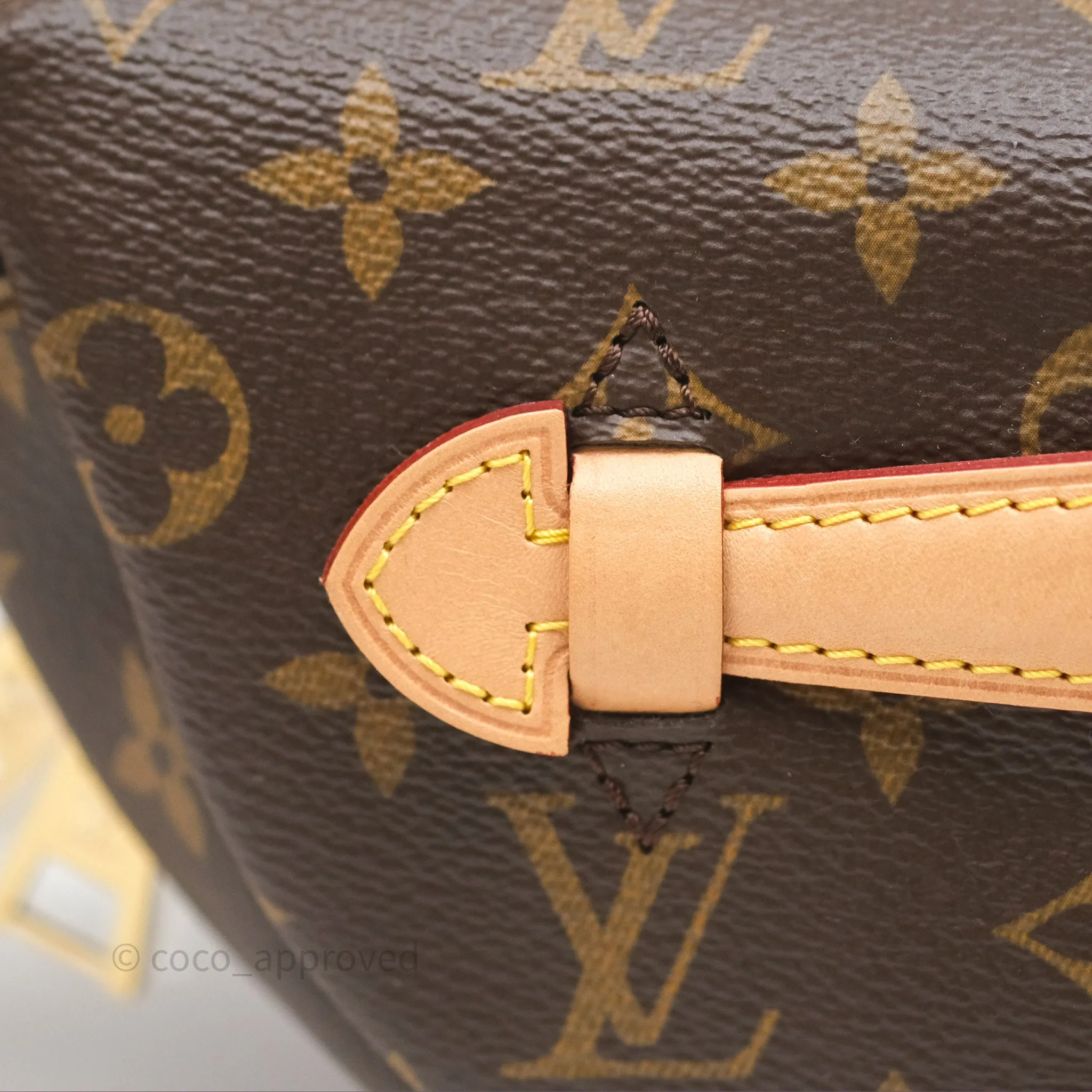 Louis Vuitton Bum Bag Monogram Canvas
