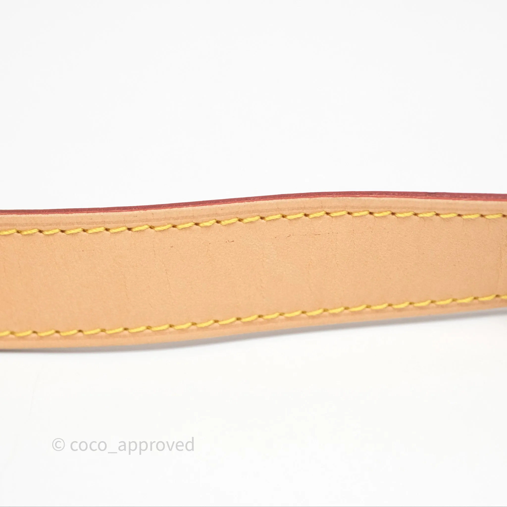 Louis Vuitton Bum Bag Monogram Canvas
