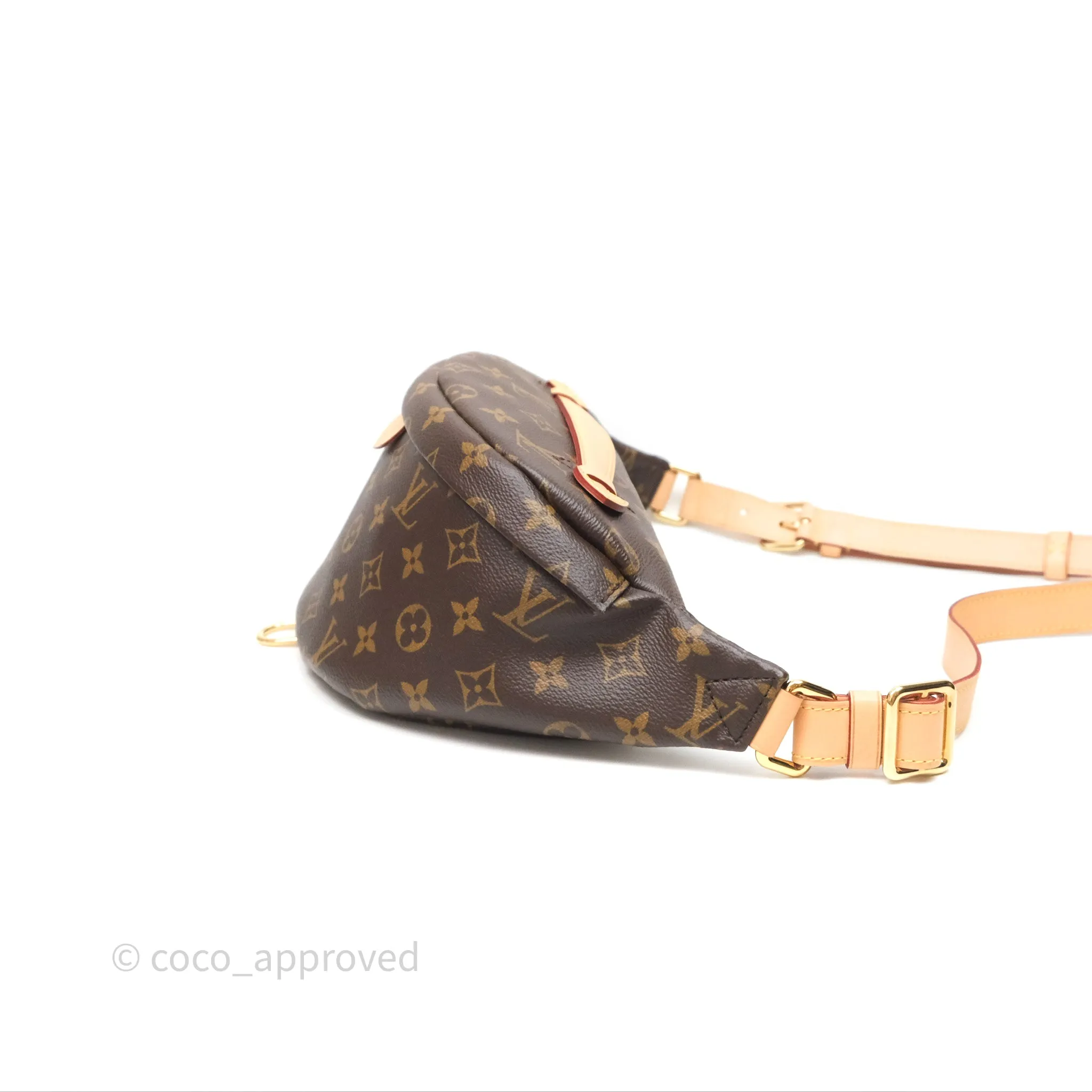 Louis Vuitton Bum Bag Monogram Canvas
