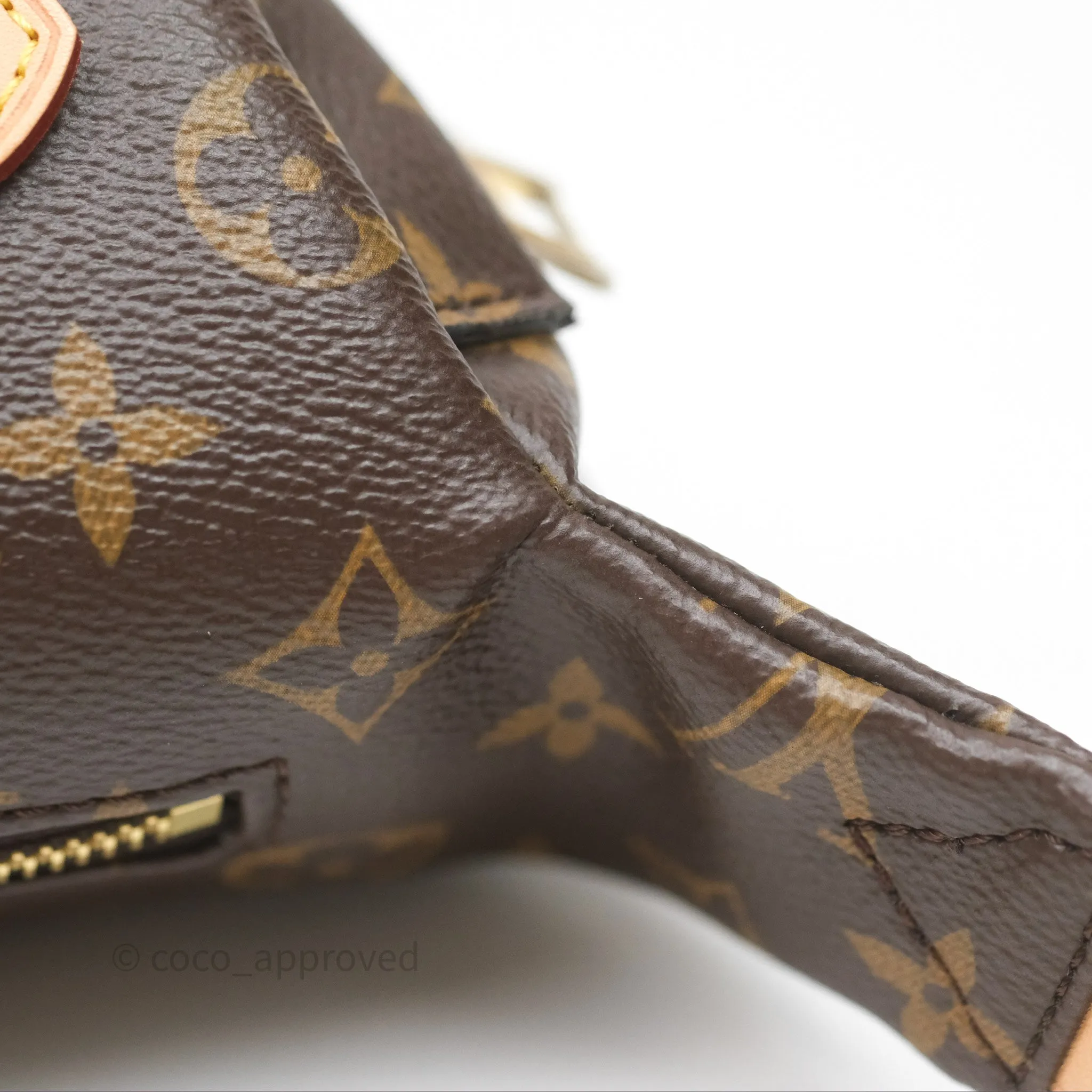 Louis Vuitton Bum Bag Monogram Canvas