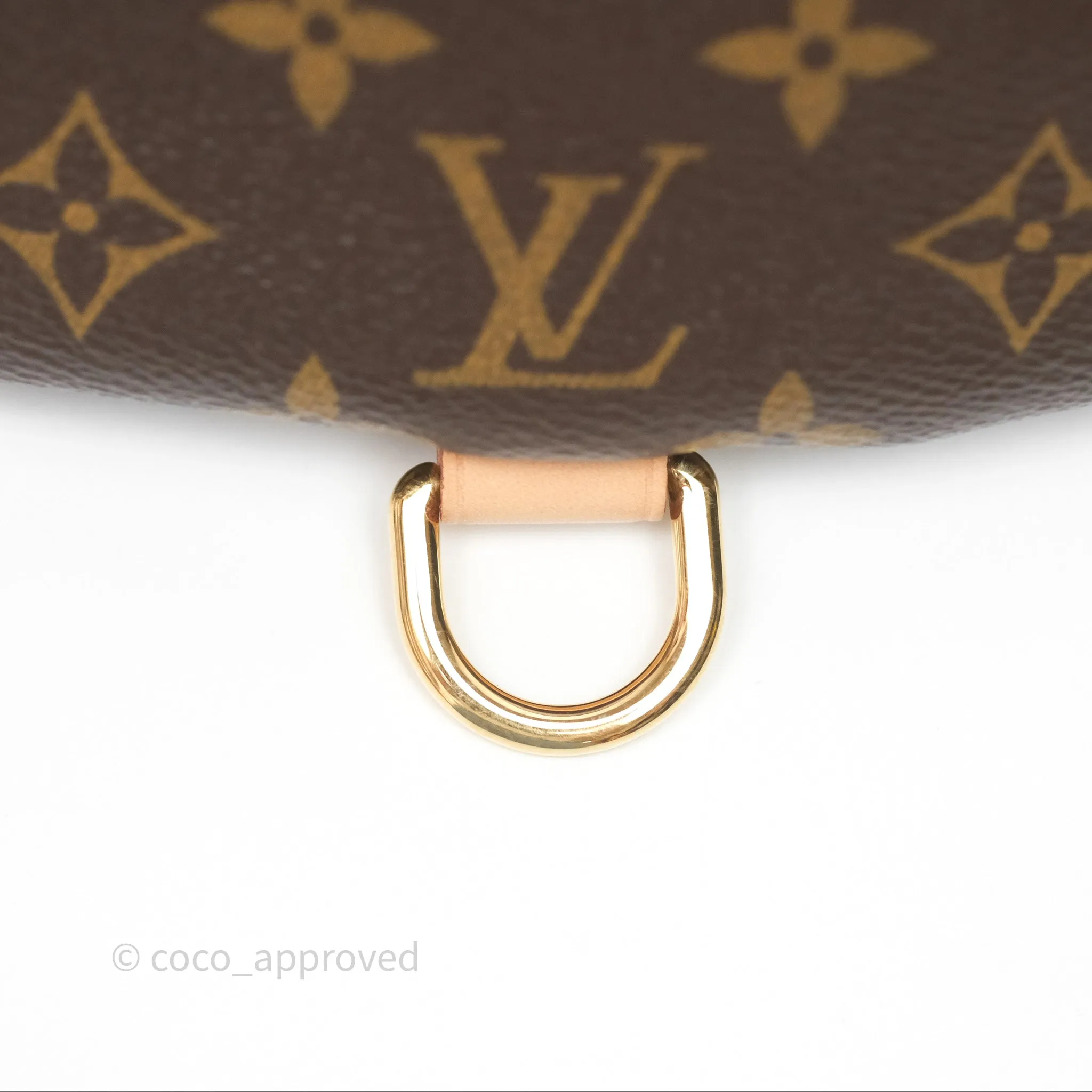 Louis Vuitton Bum Bag Monogram Canvas