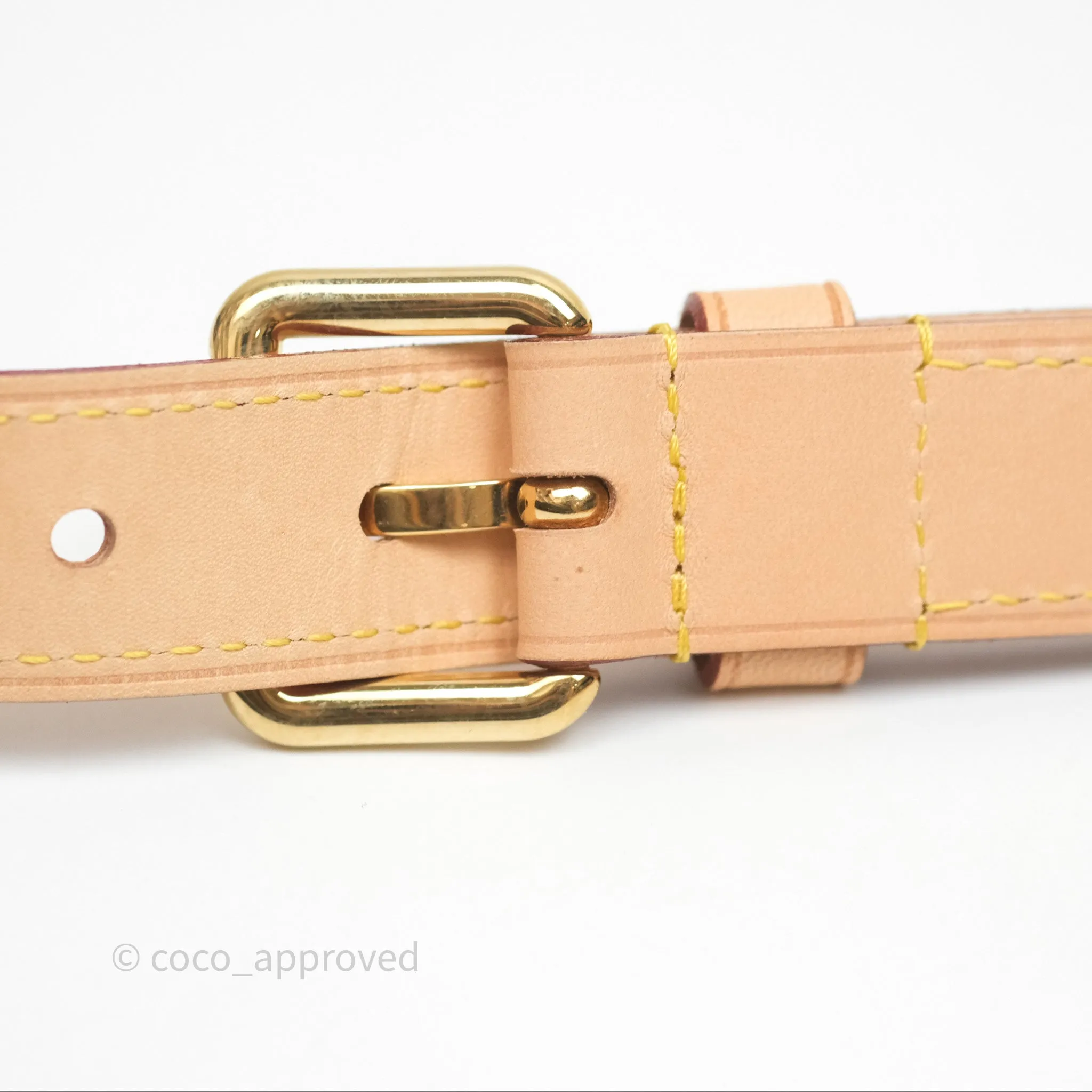 Louis Vuitton Bum Bag Monogram Canvas