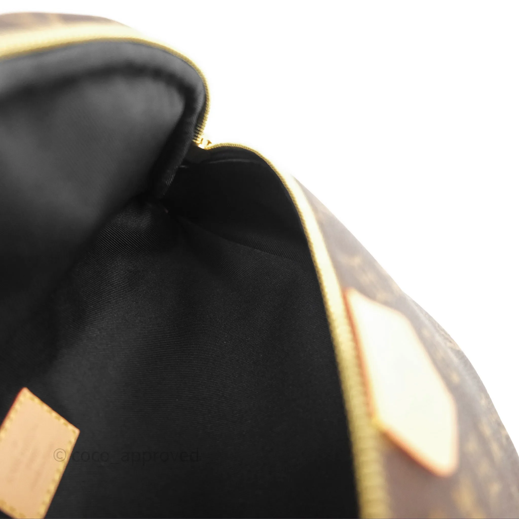 Louis Vuitton Bum Bag Monogram Canvas