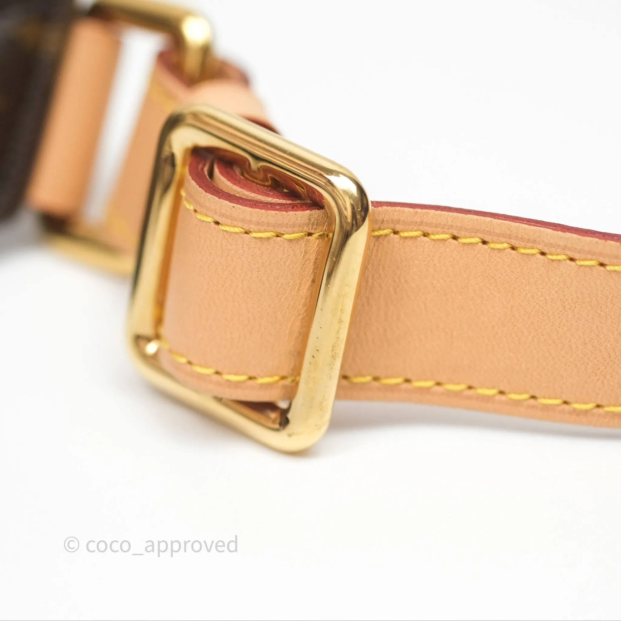 Louis Vuitton Bum Bag Monogram Canvas