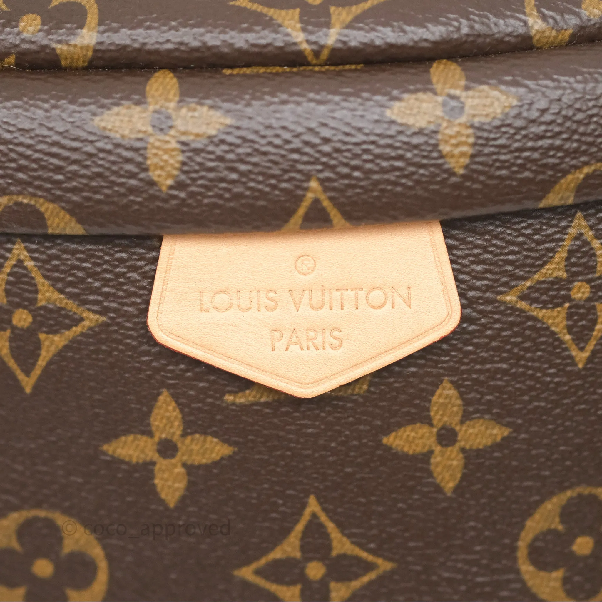 Louis Vuitton Bum Bag Monogram Canvas