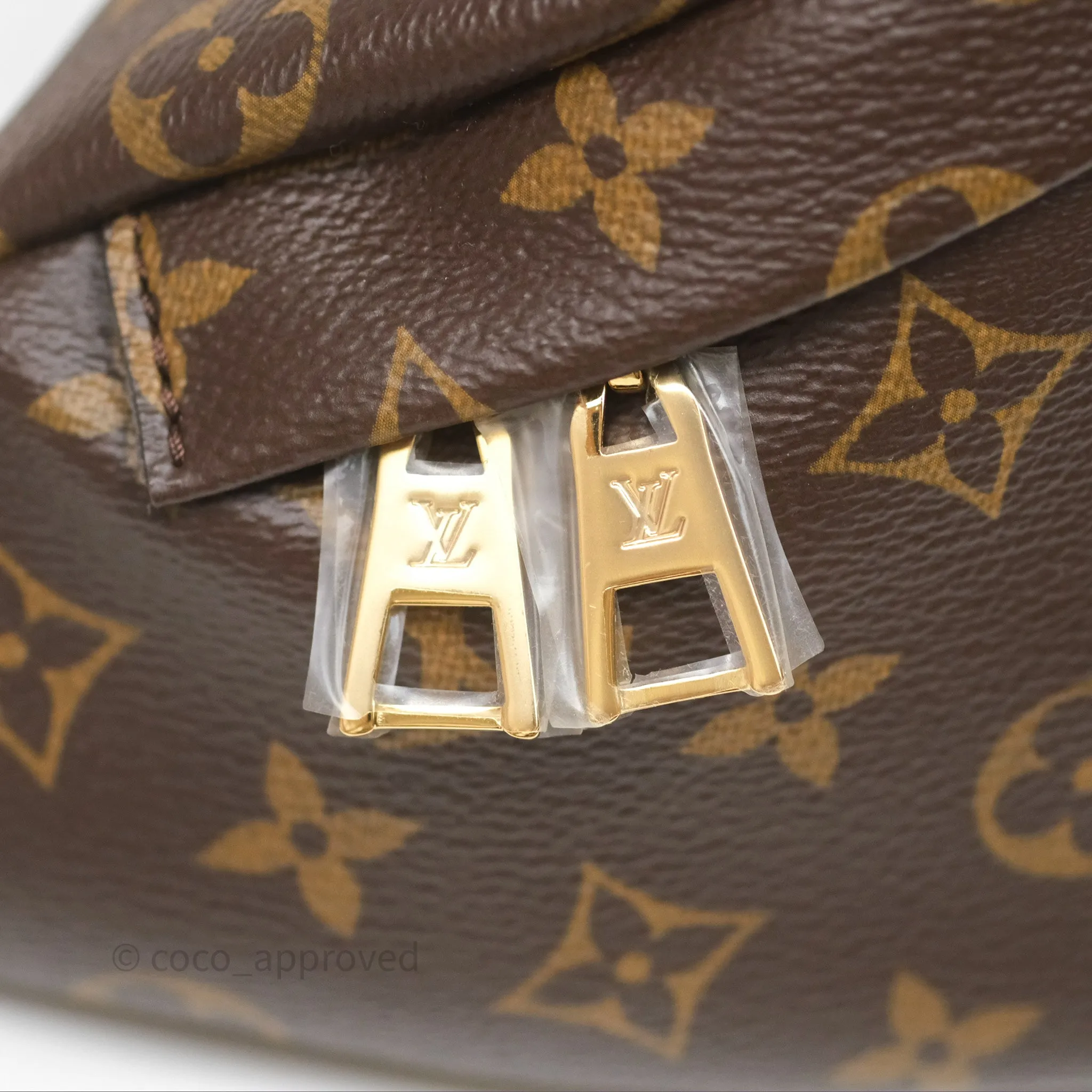 Louis Vuitton Bum Bag Monogram Canvas