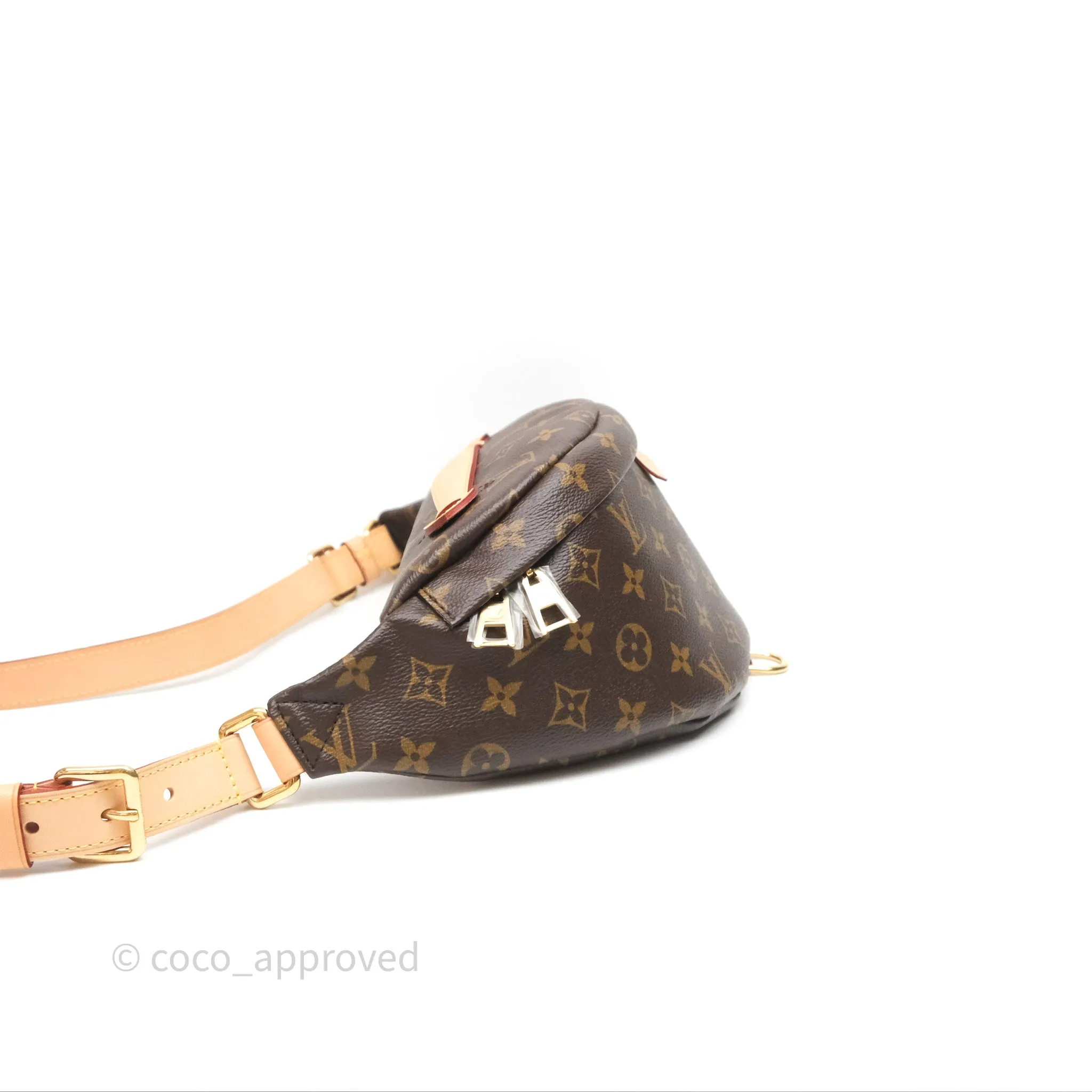 Louis Vuitton Bum Bag Monogram Canvas