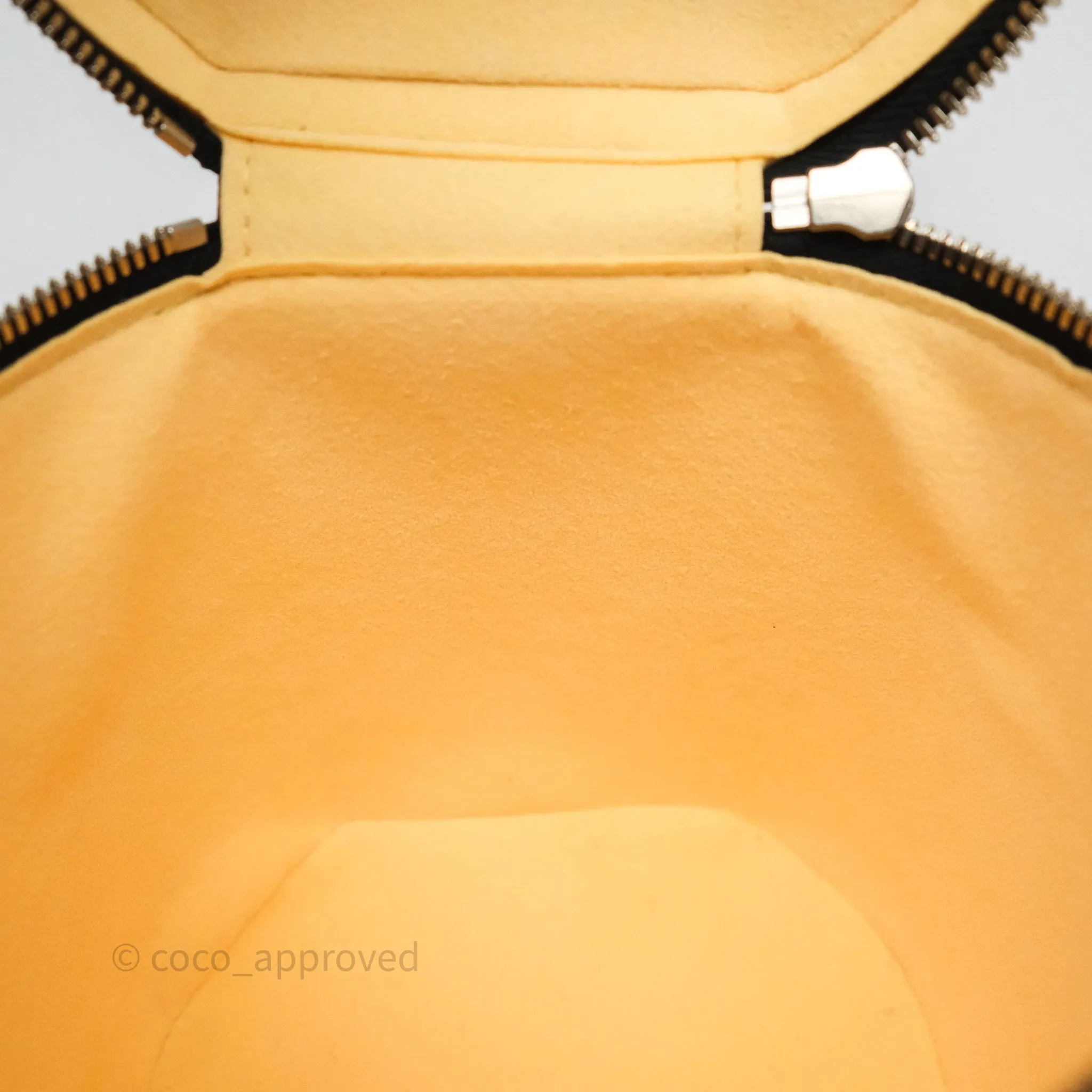 Louis Vuitton Cannes LV Pop Monogram