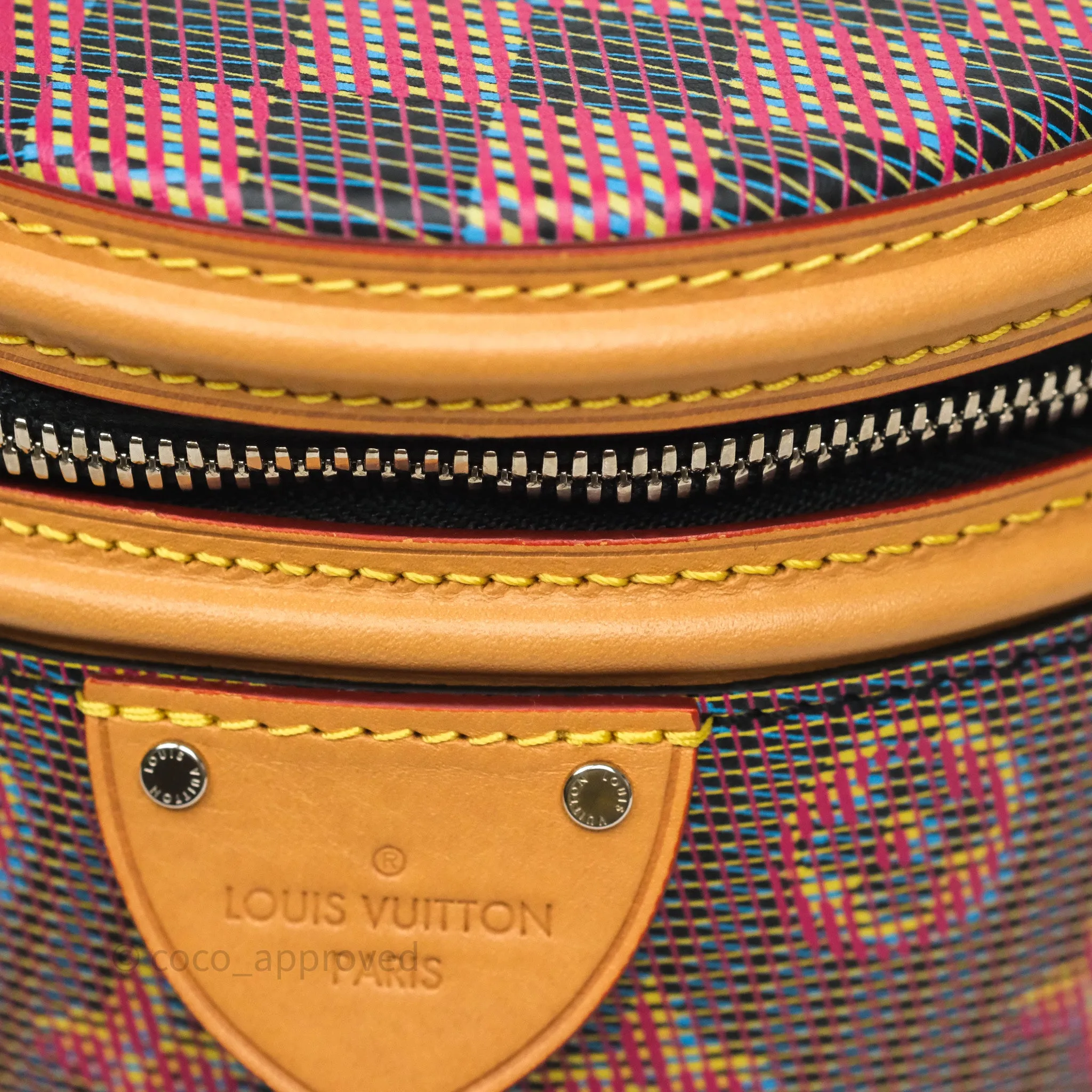Louis Vuitton Cannes LV Pop Monogram