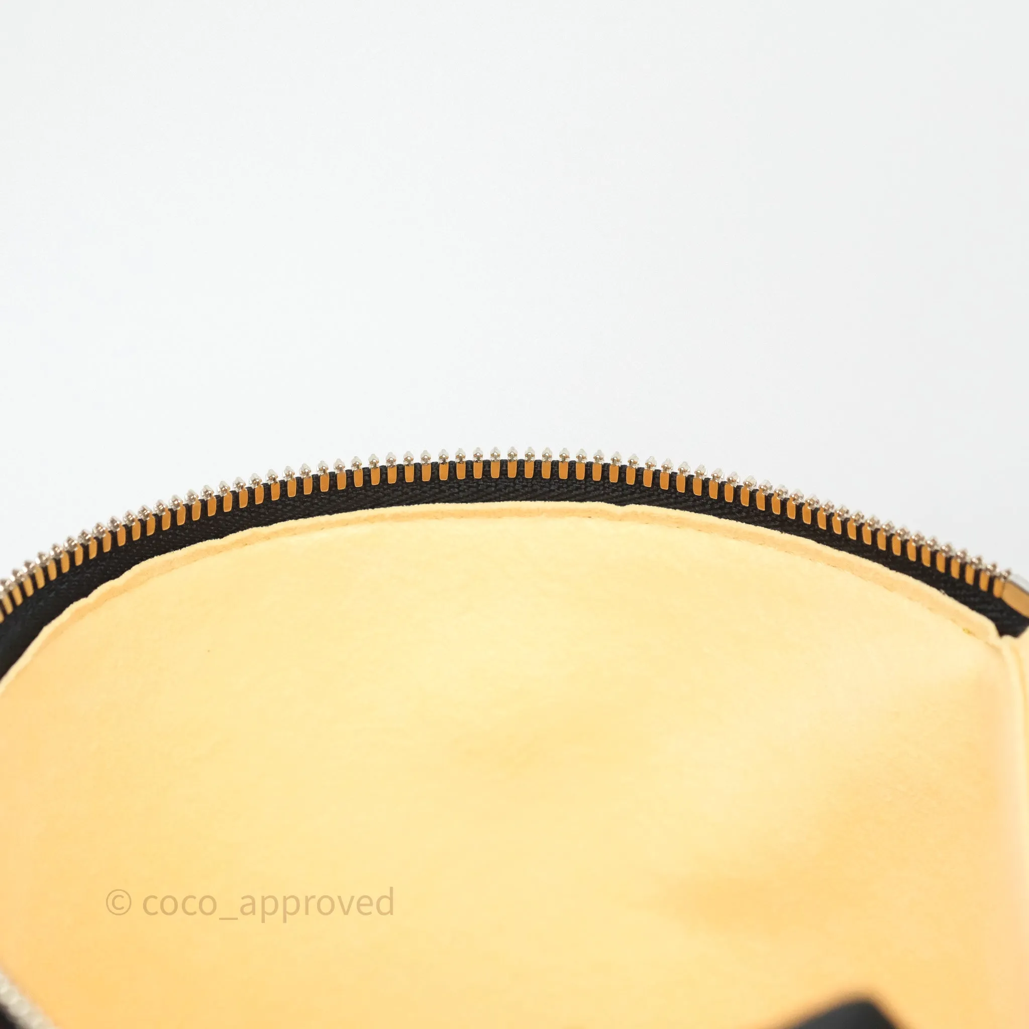 Louis Vuitton Cannes LV Pop Monogram