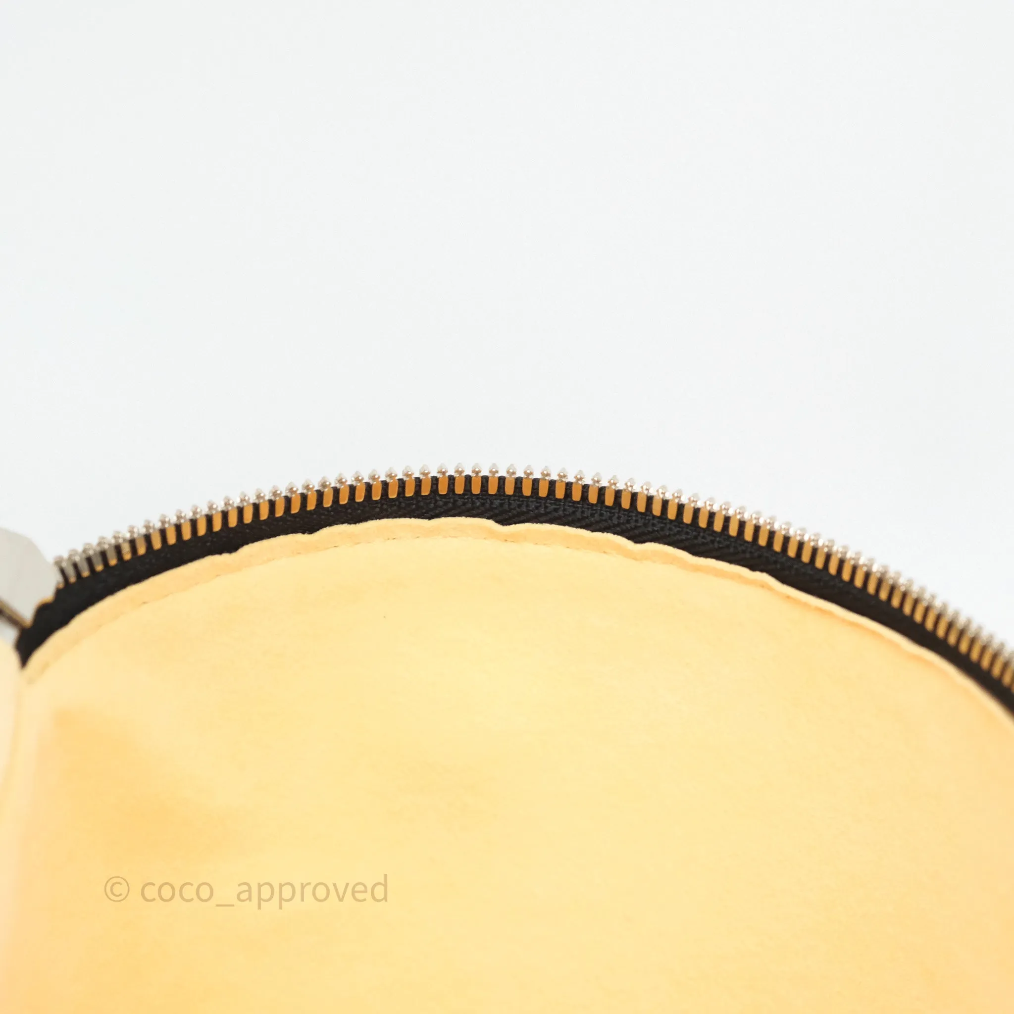 Louis Vuitton Cannes LV Pop Monogram