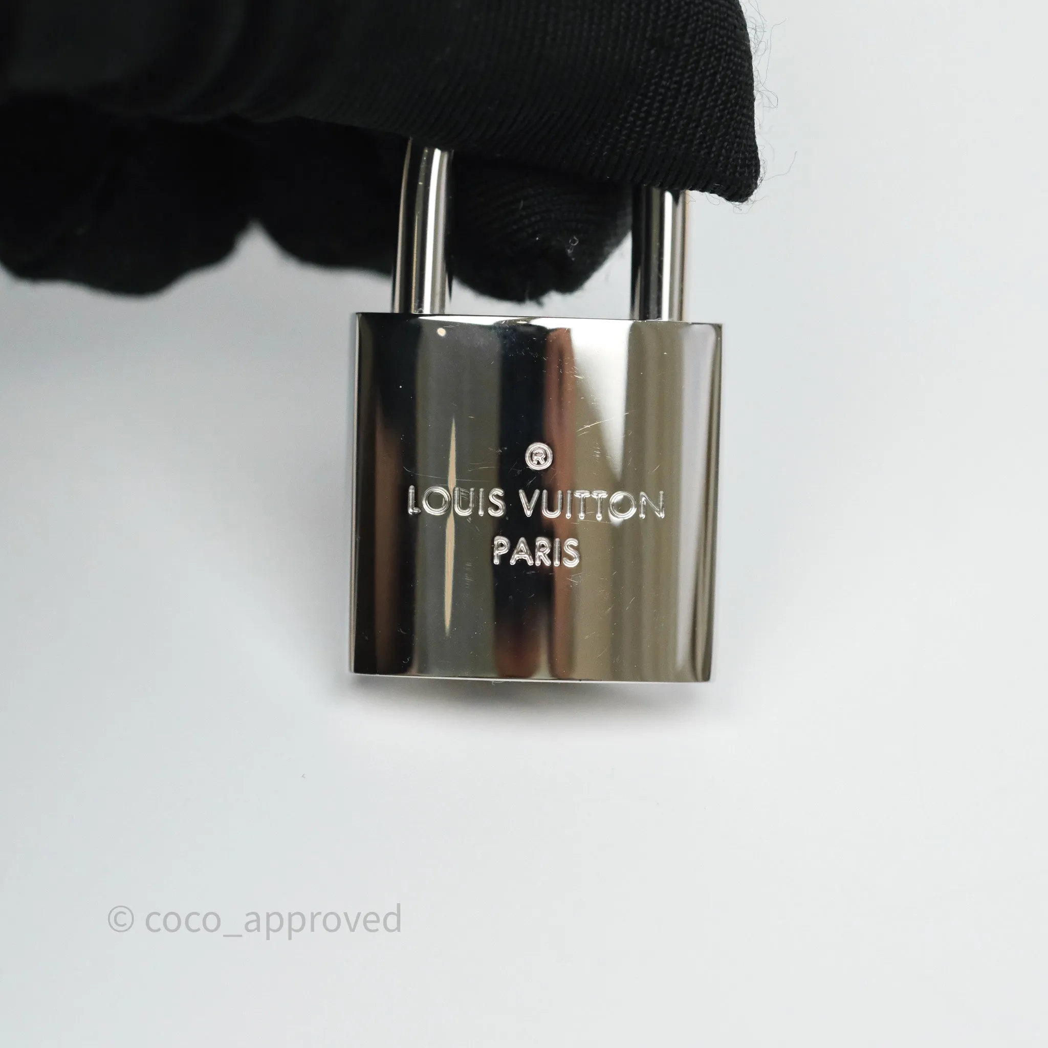 Louis Vuitton Cannes LV Pop Monogram