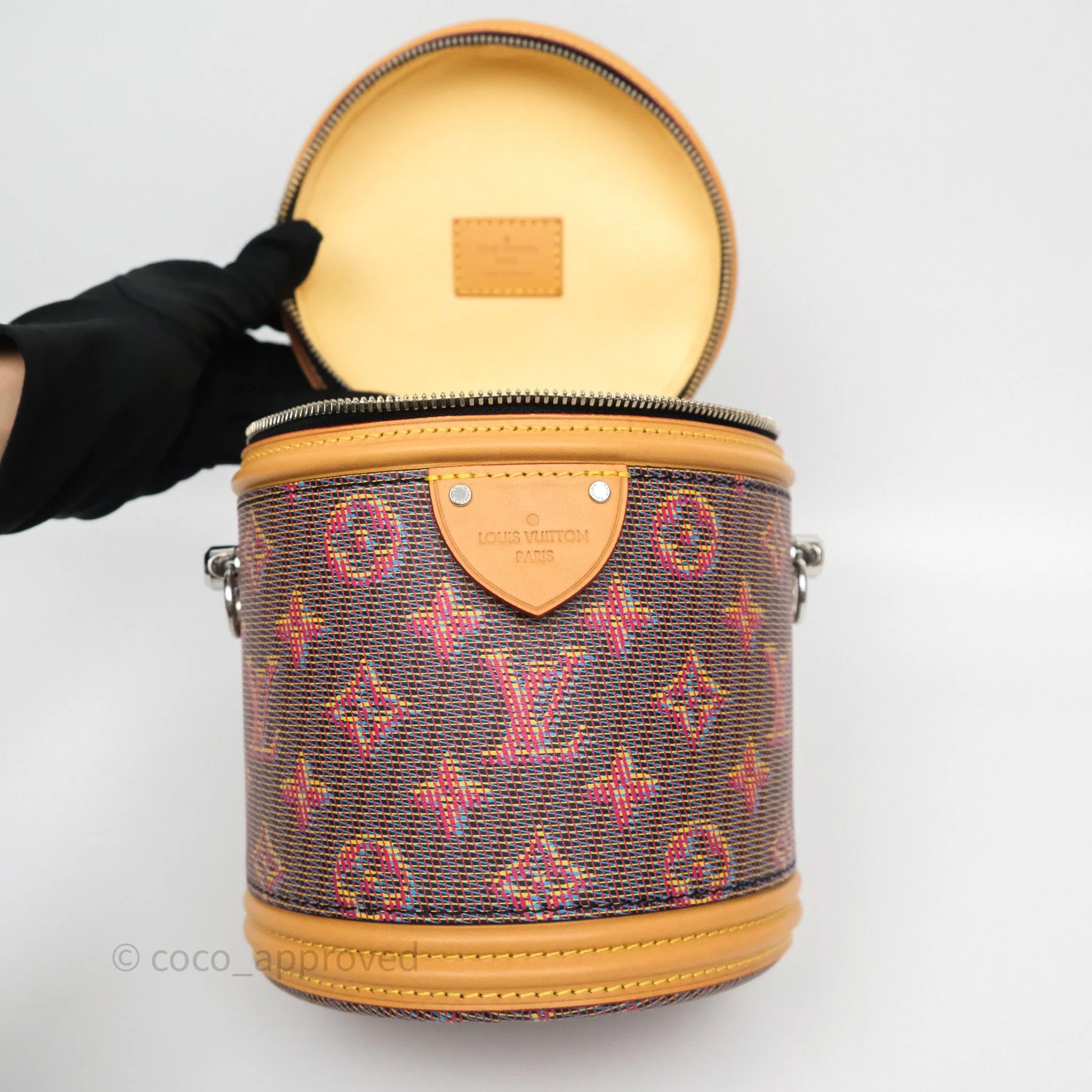 Louis Vuitton Cannes LV Pop Monogram