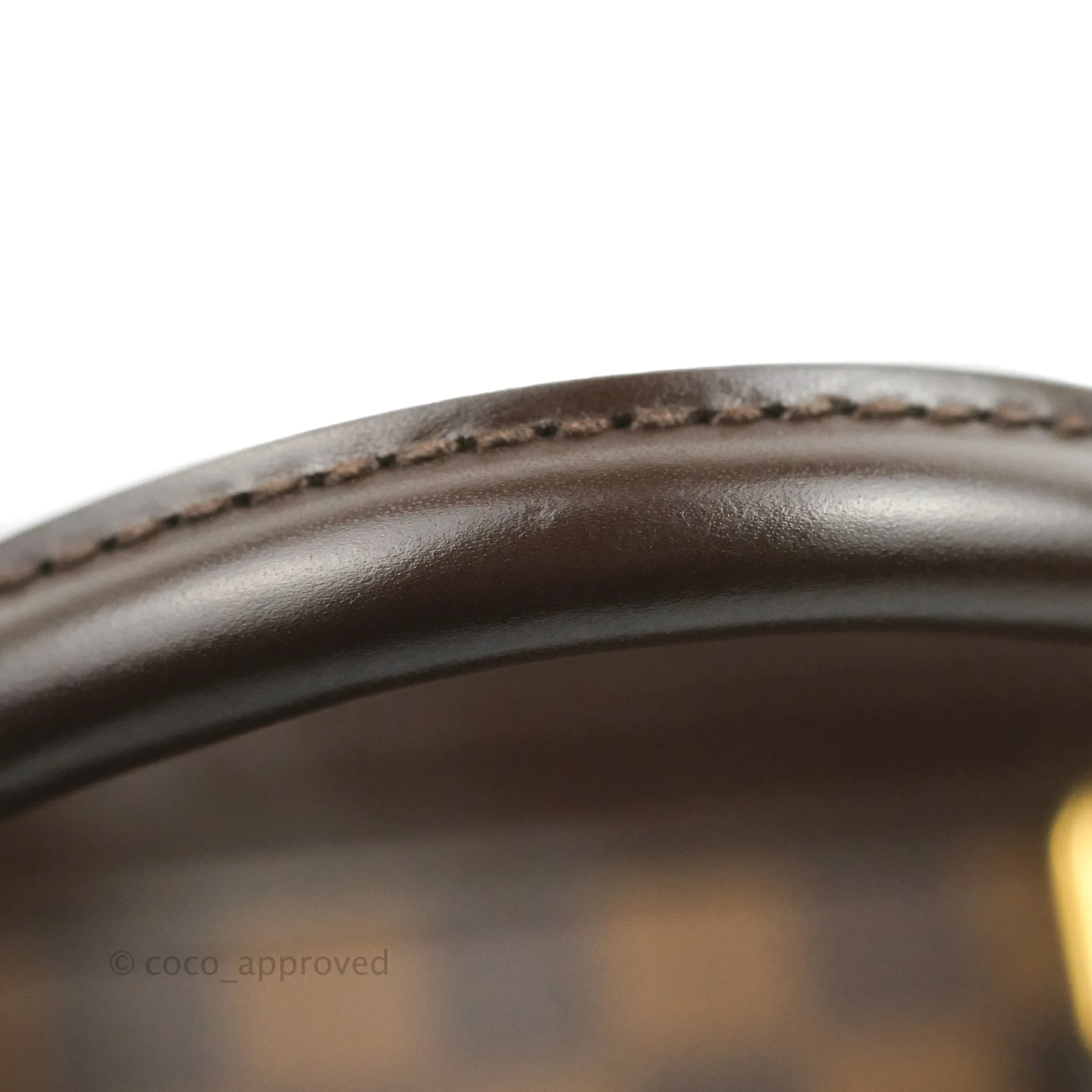 Louis Vuitton Damier Ebene Trevi GM