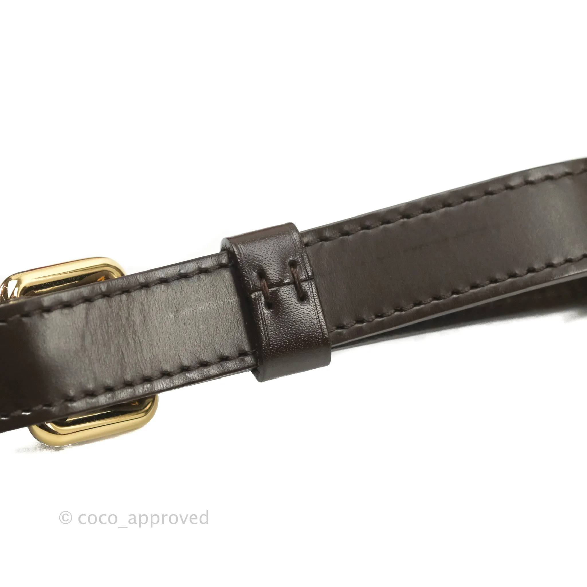 Louis Vuitton Damier Ebene Trevi GM