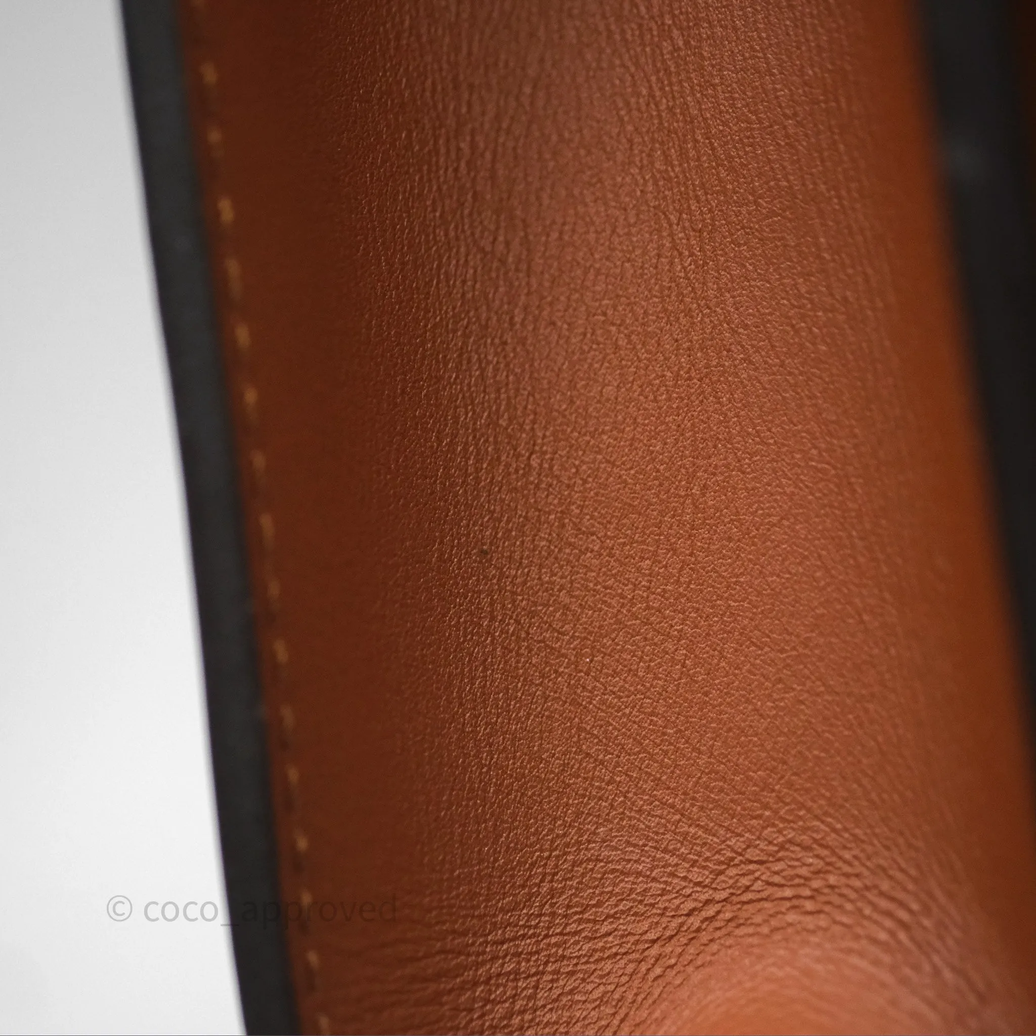 Louis Vuitton Dauphine Bag MM Monogram Canvas