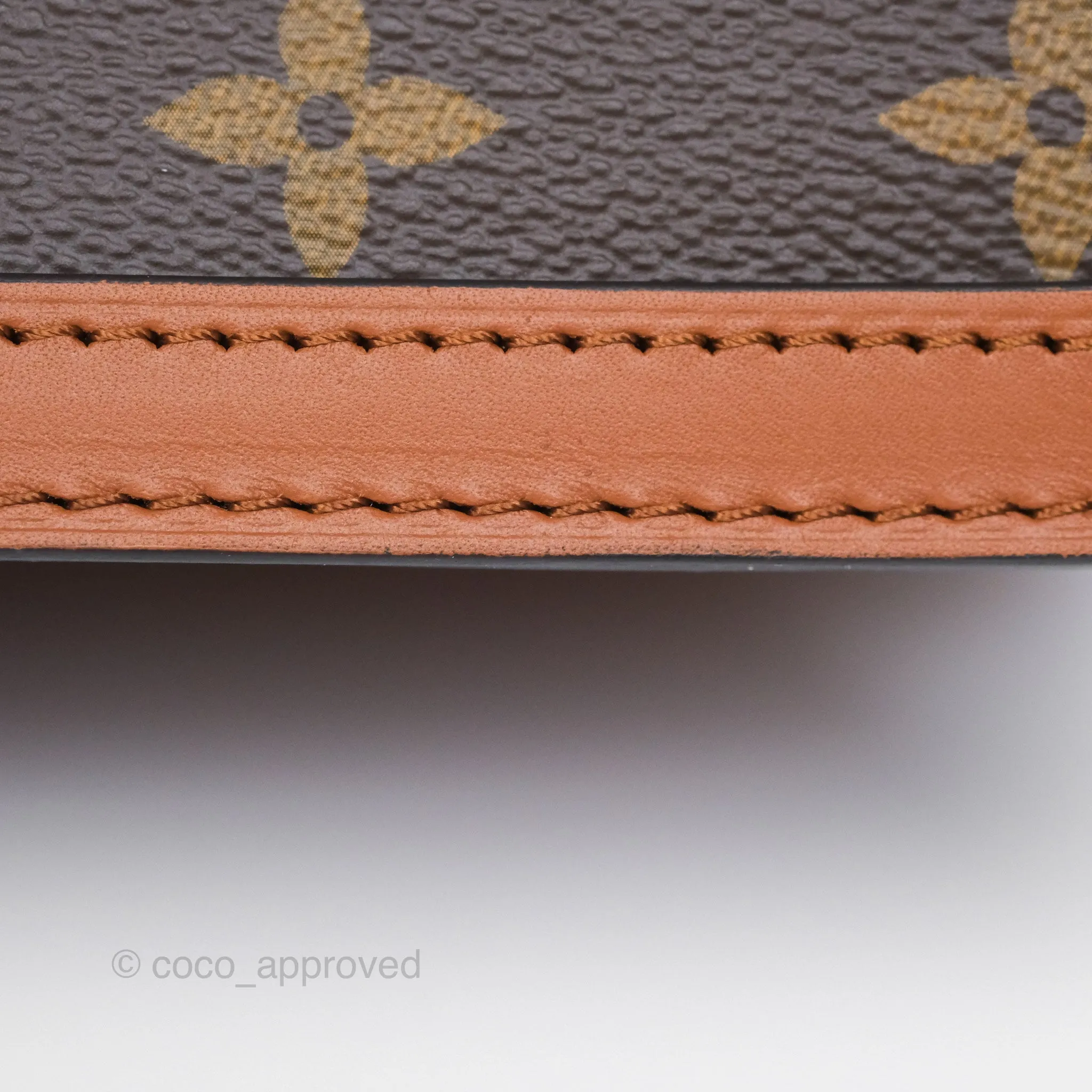 Louis Vuitton Dauphine Bag MM Monogram Canvas