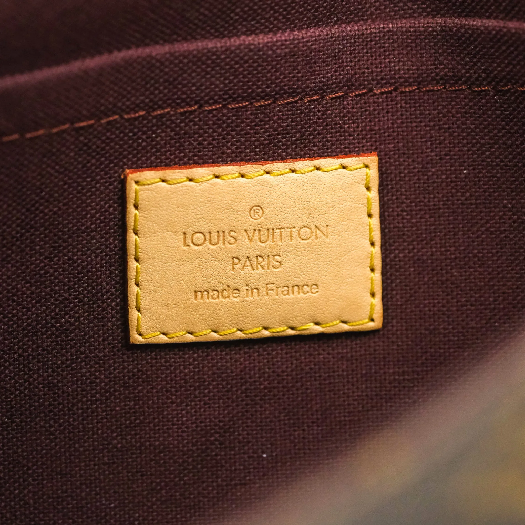 Louis Vuitton Favourite Bag PM Monogram