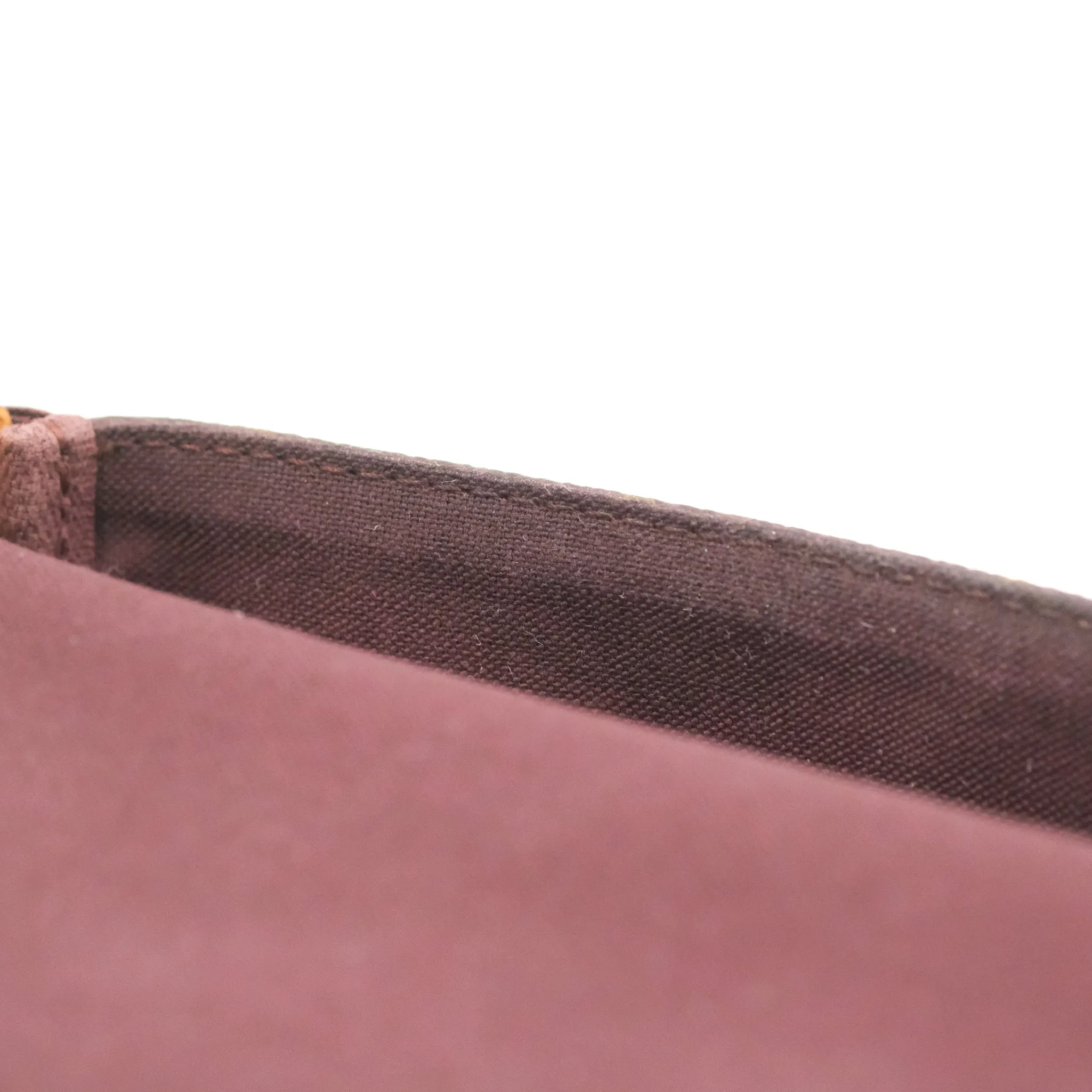 Louis Vuitton Favourite Bag PM Monogram