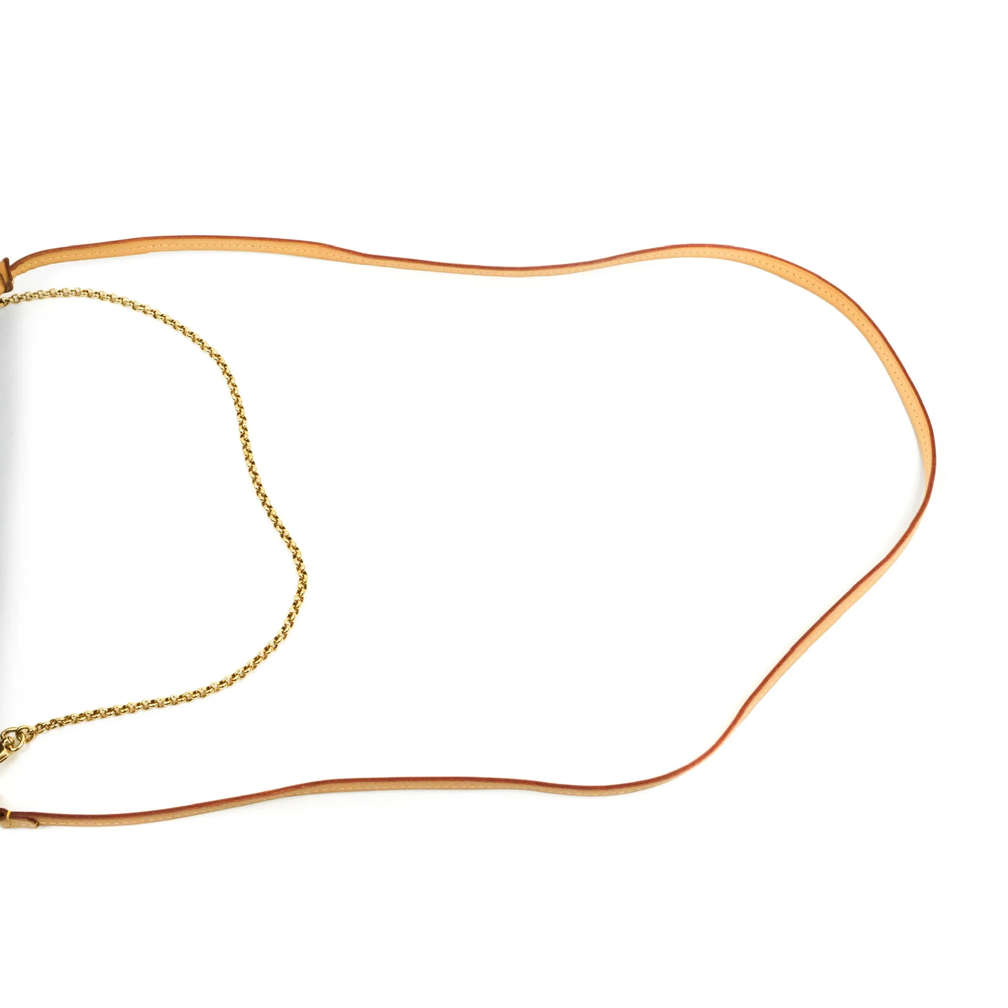 Louis Vuitton Favourite Bag PM Monogram