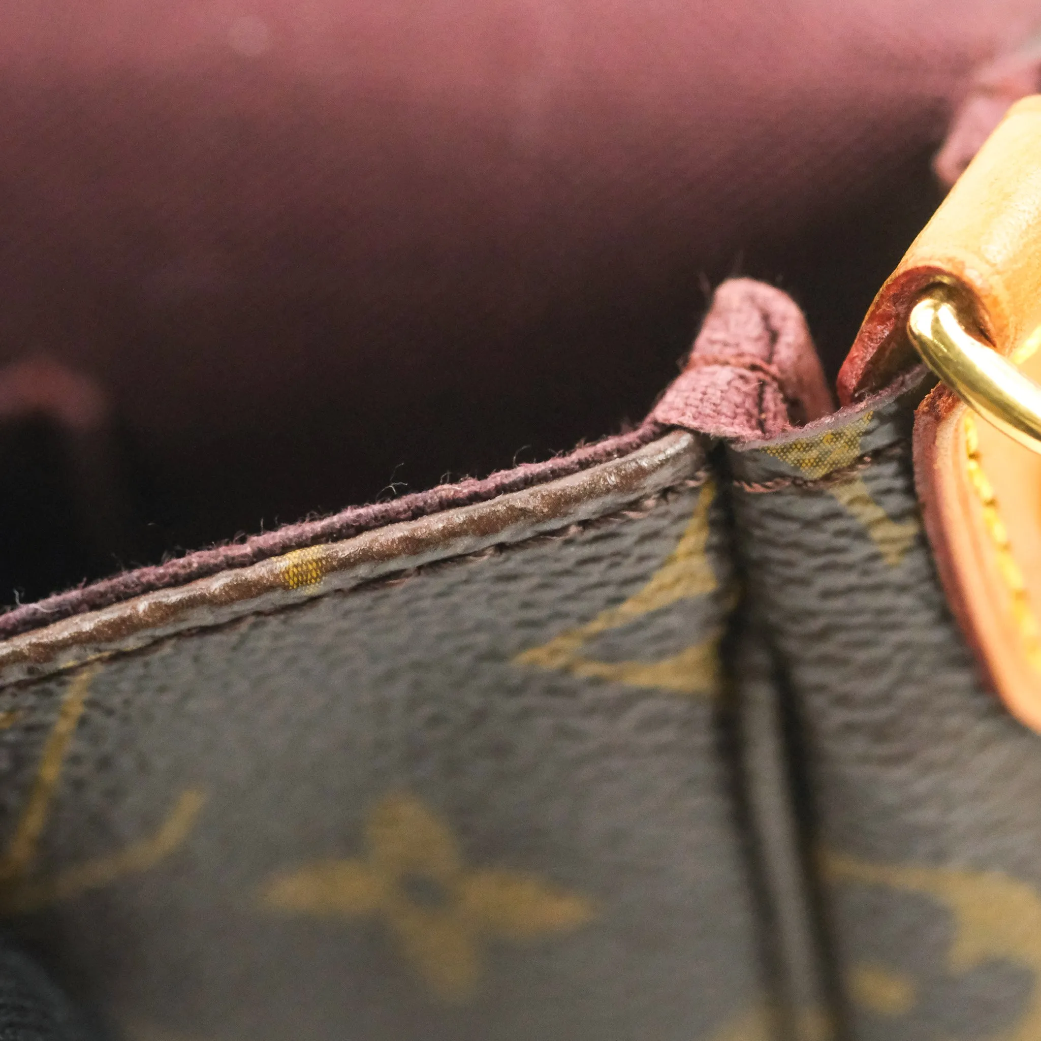 Louis Vuitton Favourite Bag PM Monogram