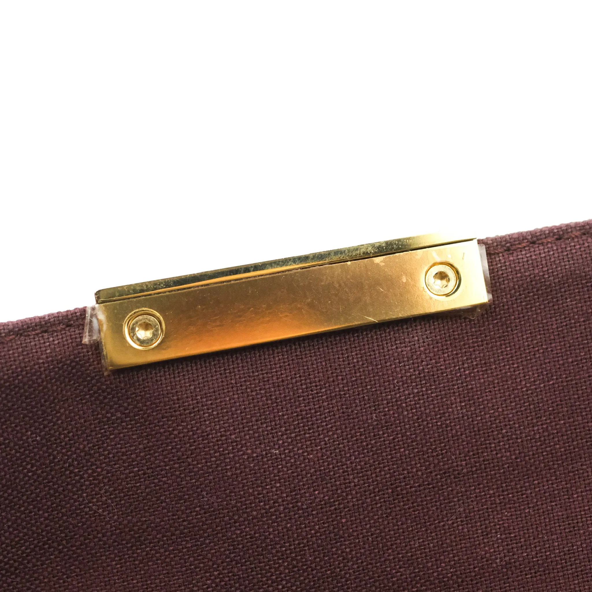 Louis Vuitton Favourite Bag PM Monogram