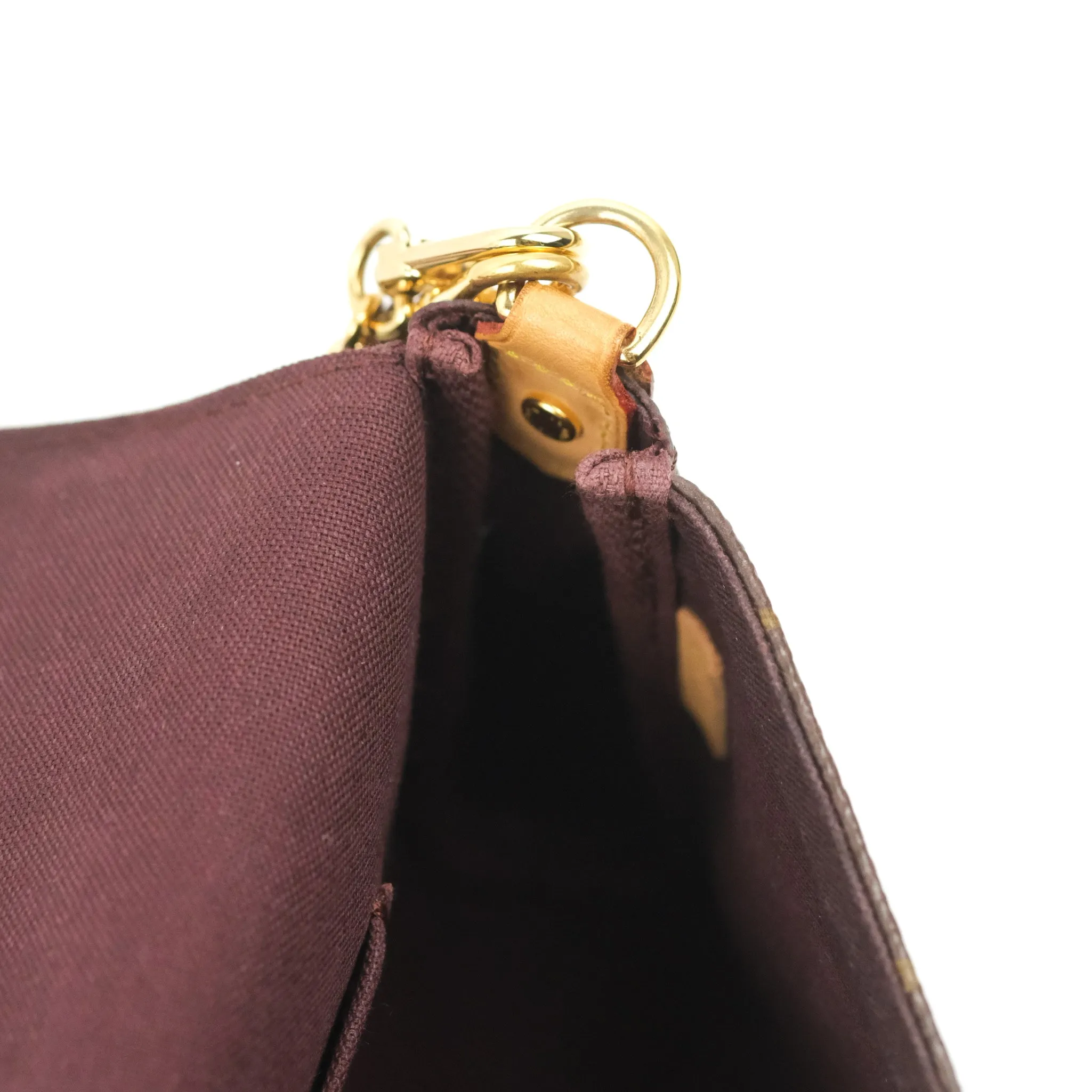 Louis Vuitton Favourite Bag PM Monogram