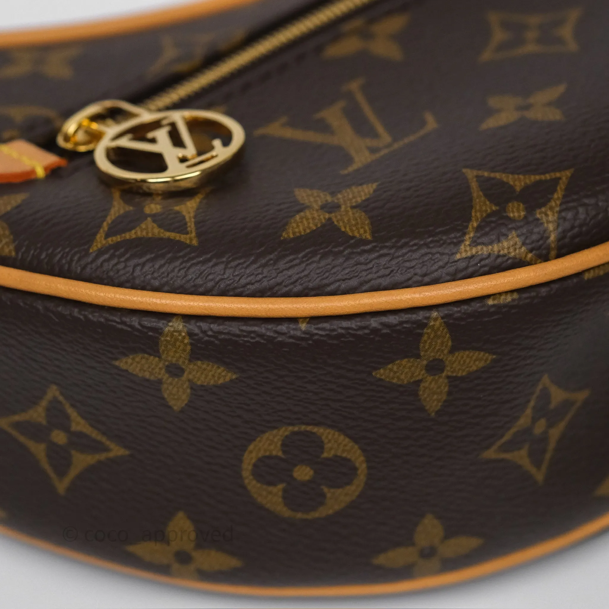 Louis Vuitton Loop Monogram Canvas