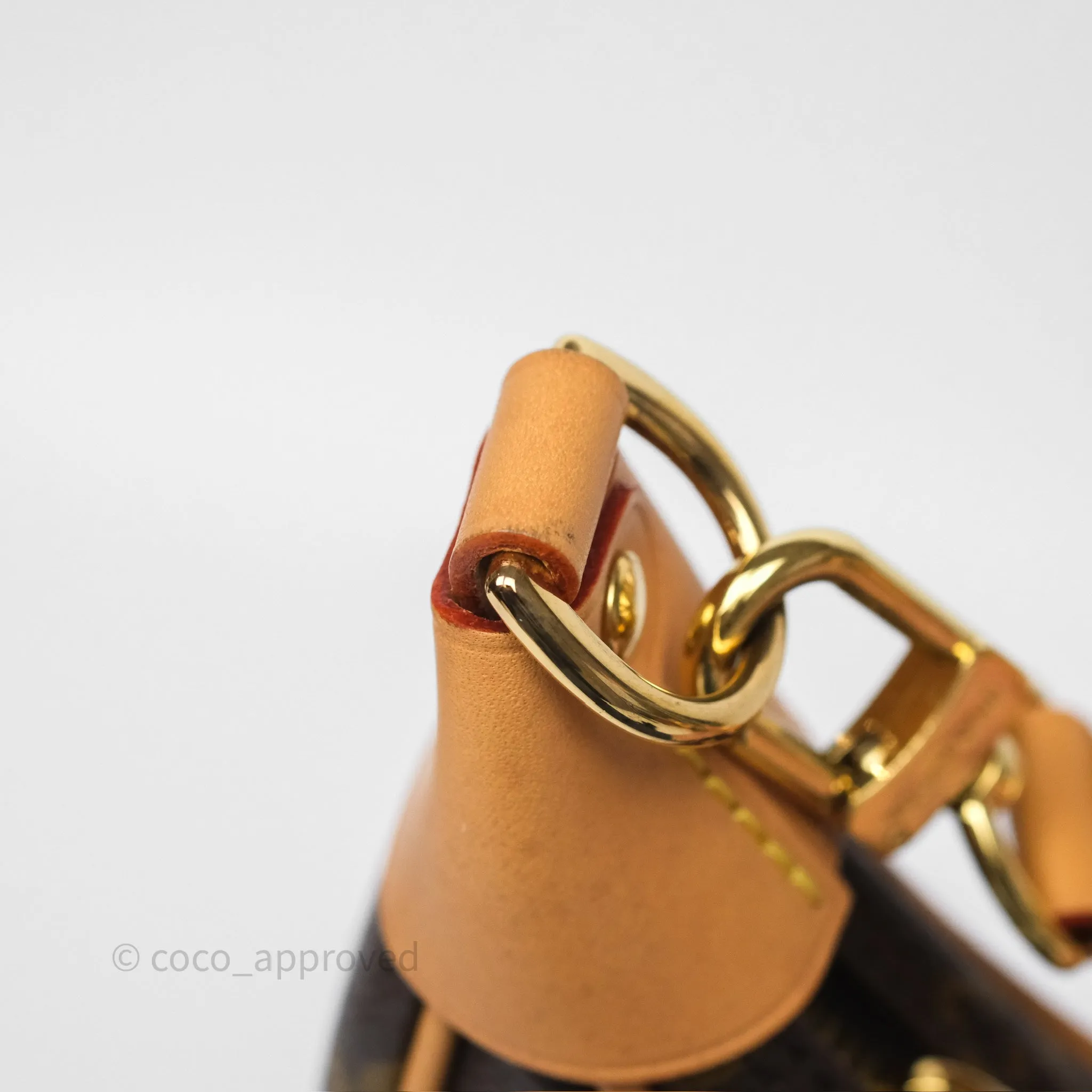 Louis Vuitton Loop Monogram Canvas