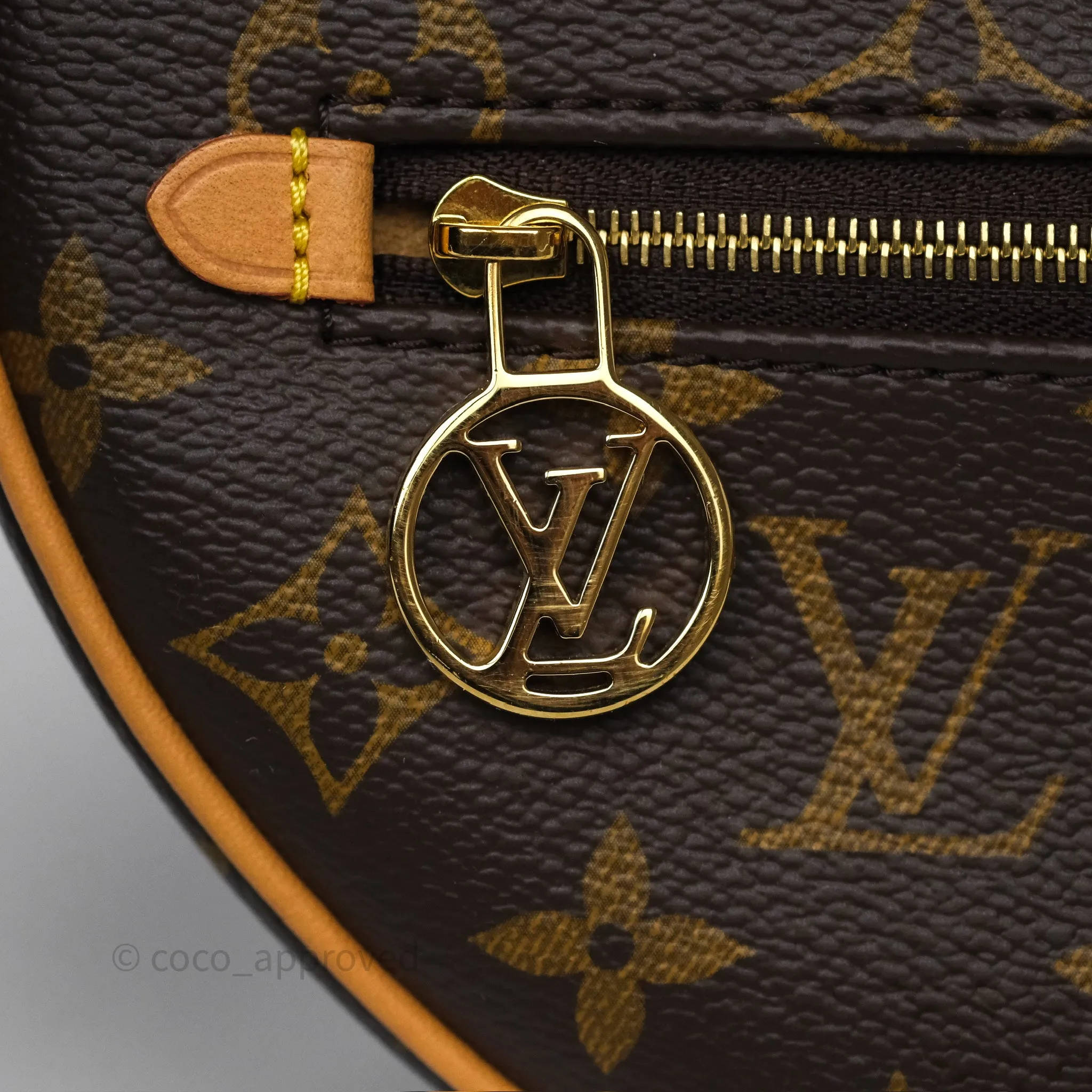 Louis Vuitton Loop Monogram Canvas