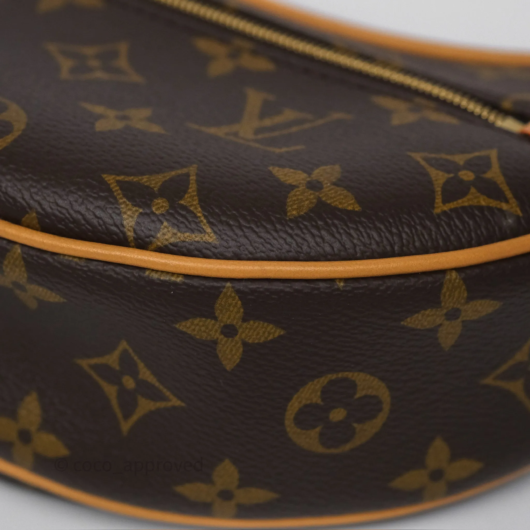 Louis Vuitton Loop Monogram Canvas