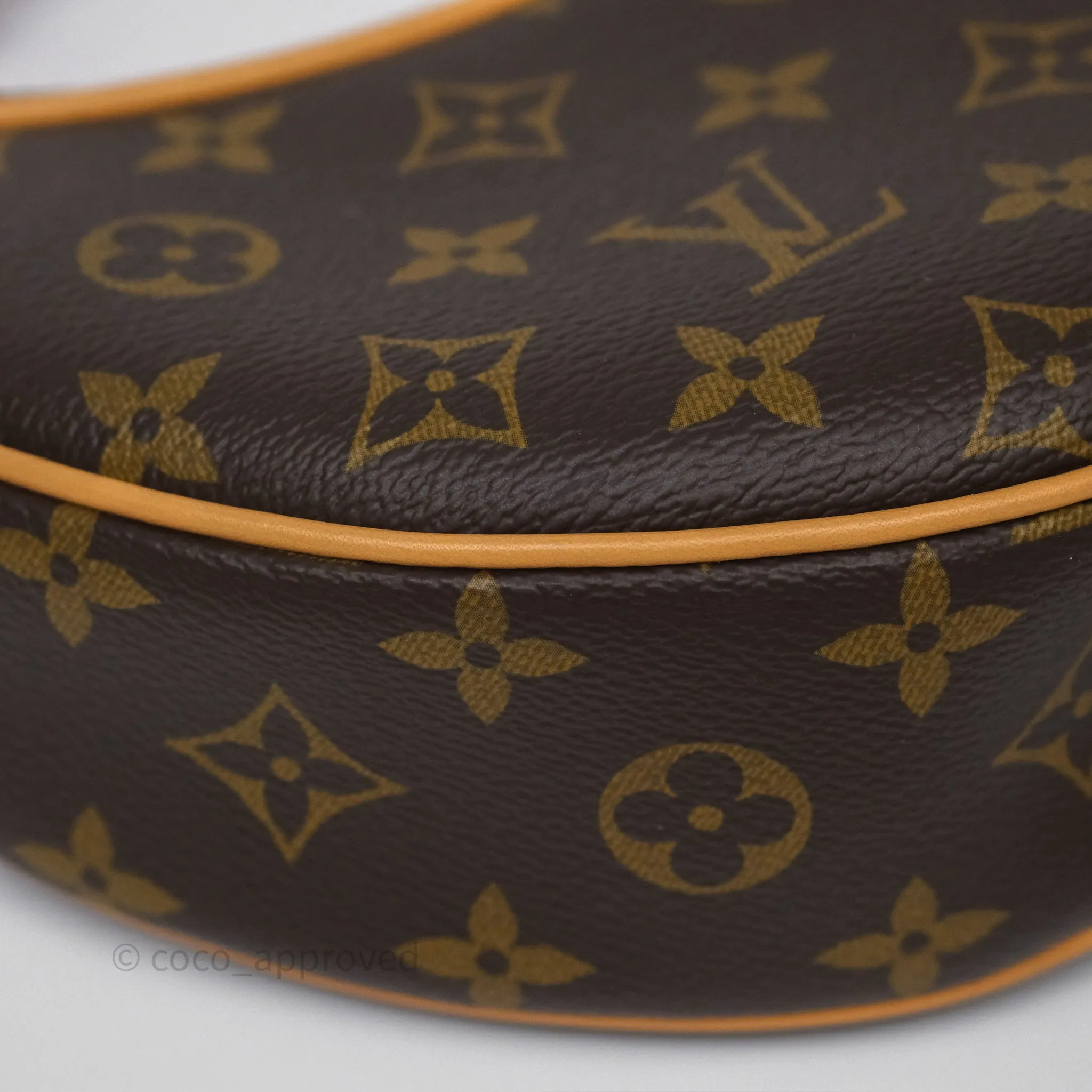 Louis Vuitton Loop Monogram Canvas