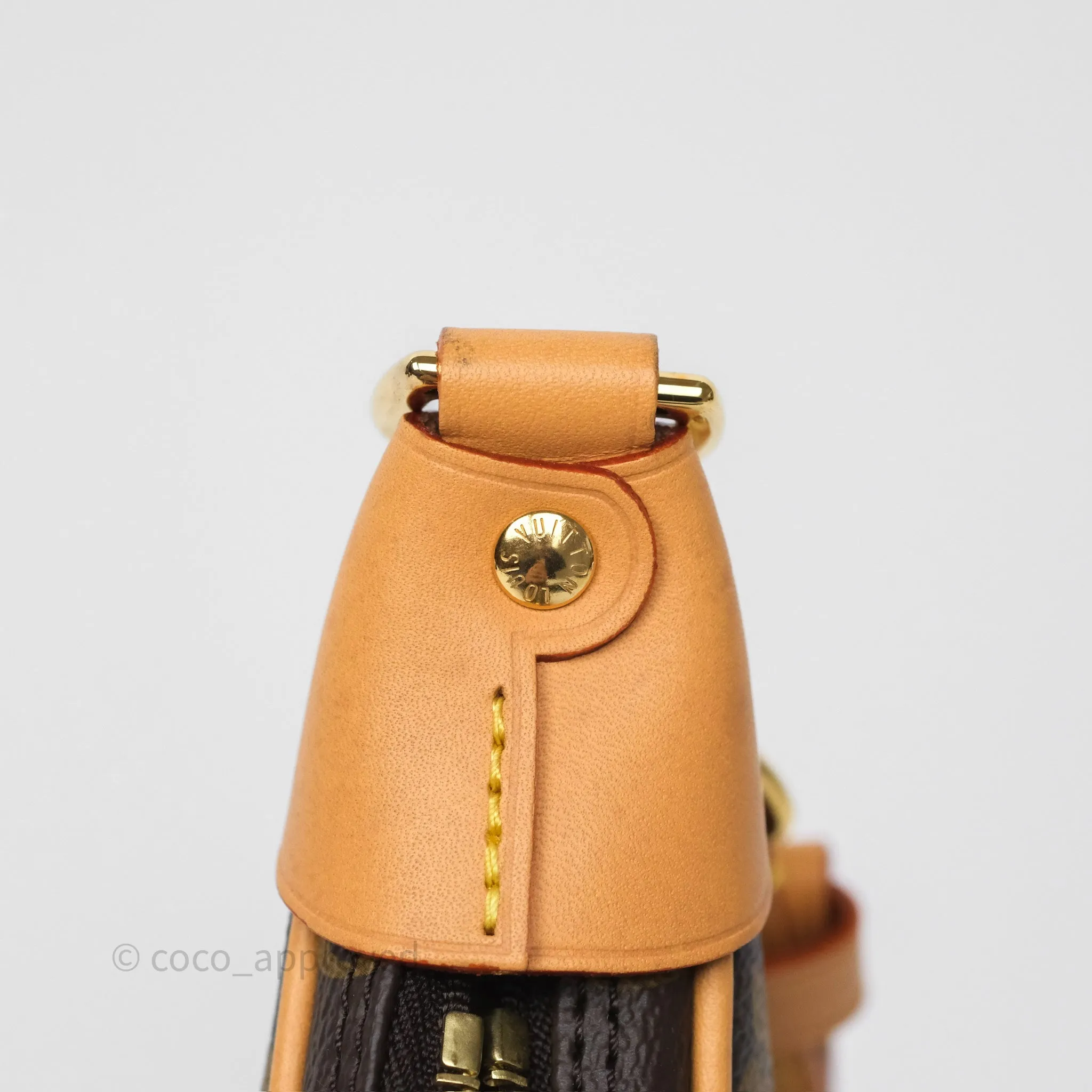 Louis Vuitton Loop Monogram Canvas