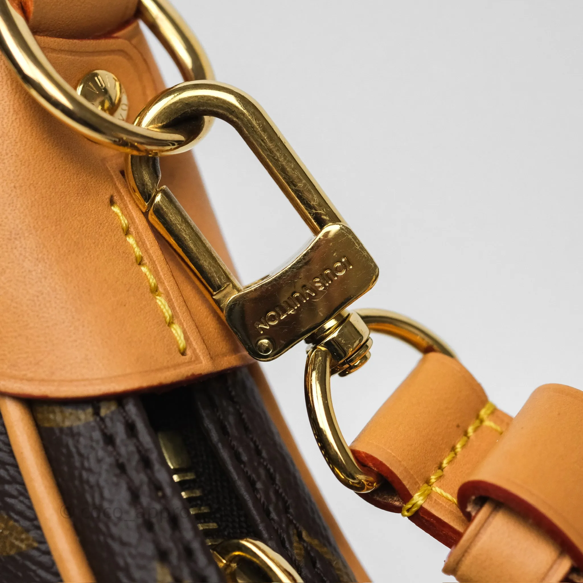 Louis Vuitton Loop Monogram Canvas