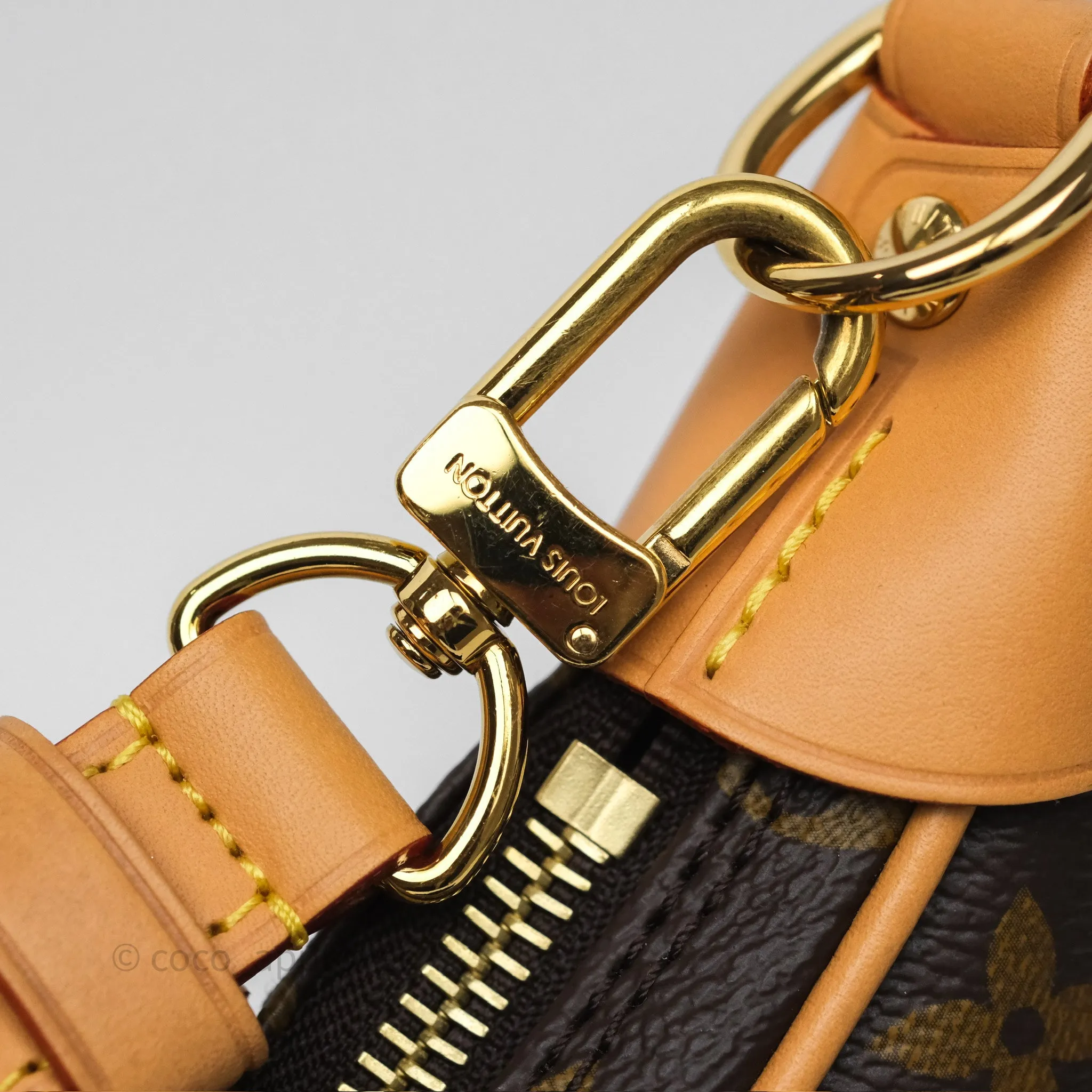 Louis Vuitton Loop Monogram Canvas