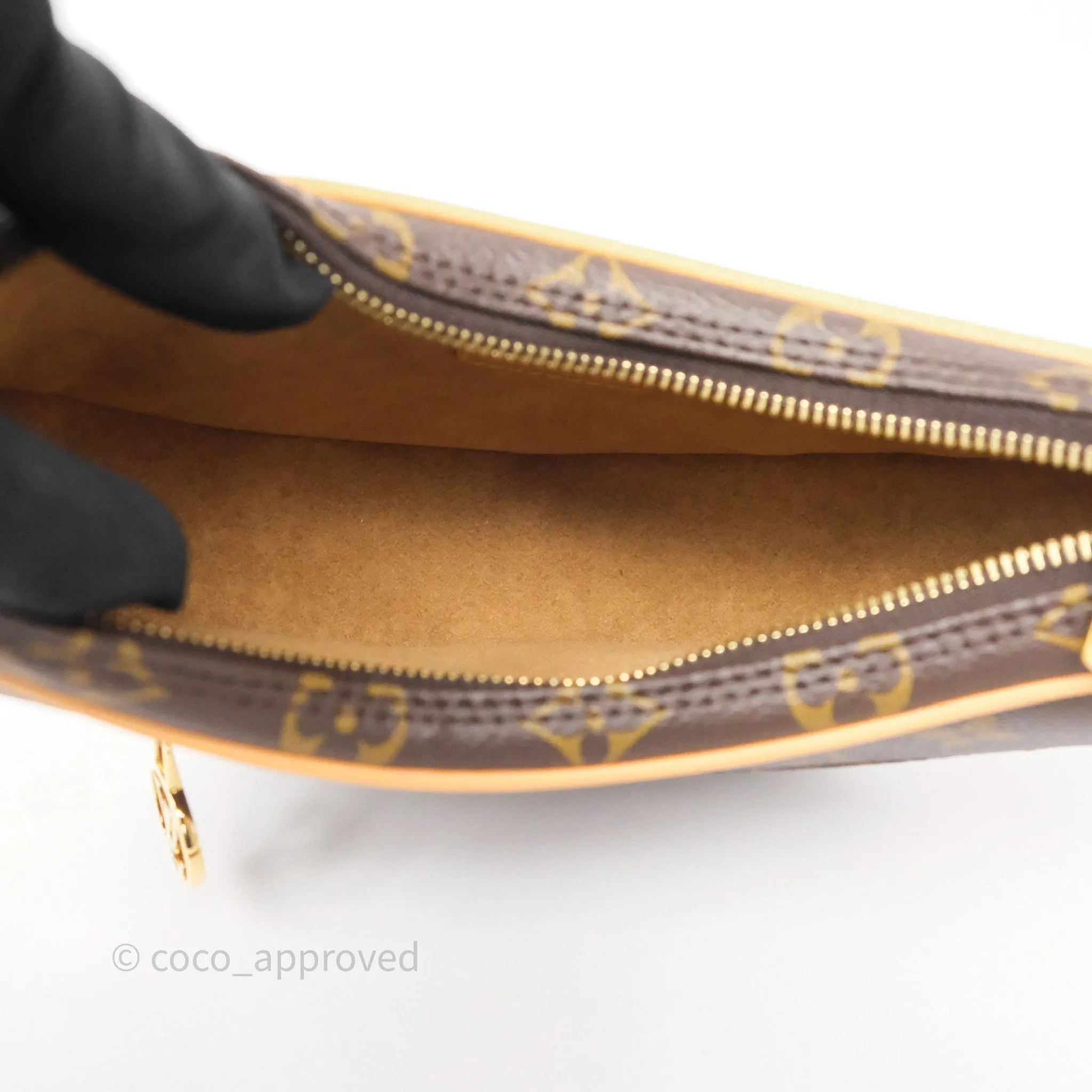 Louis Vuitton Loop Monogram Canvas