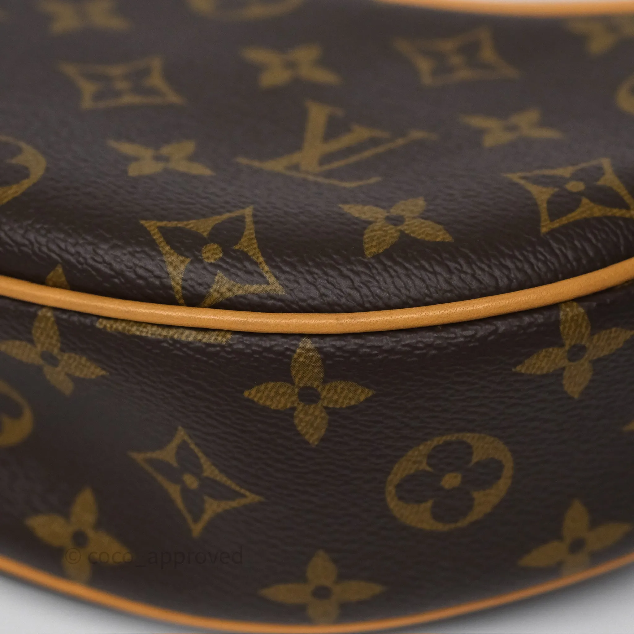 Louis Vuitton Loop Monogram Canvas
