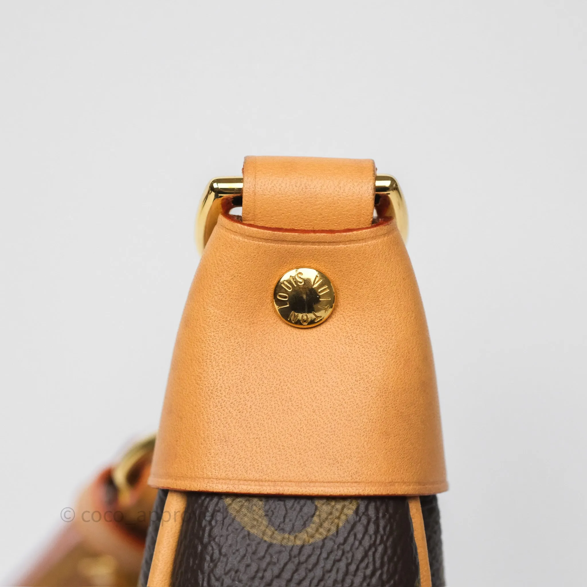 Louis Vuitton Loop Monogram Canvas