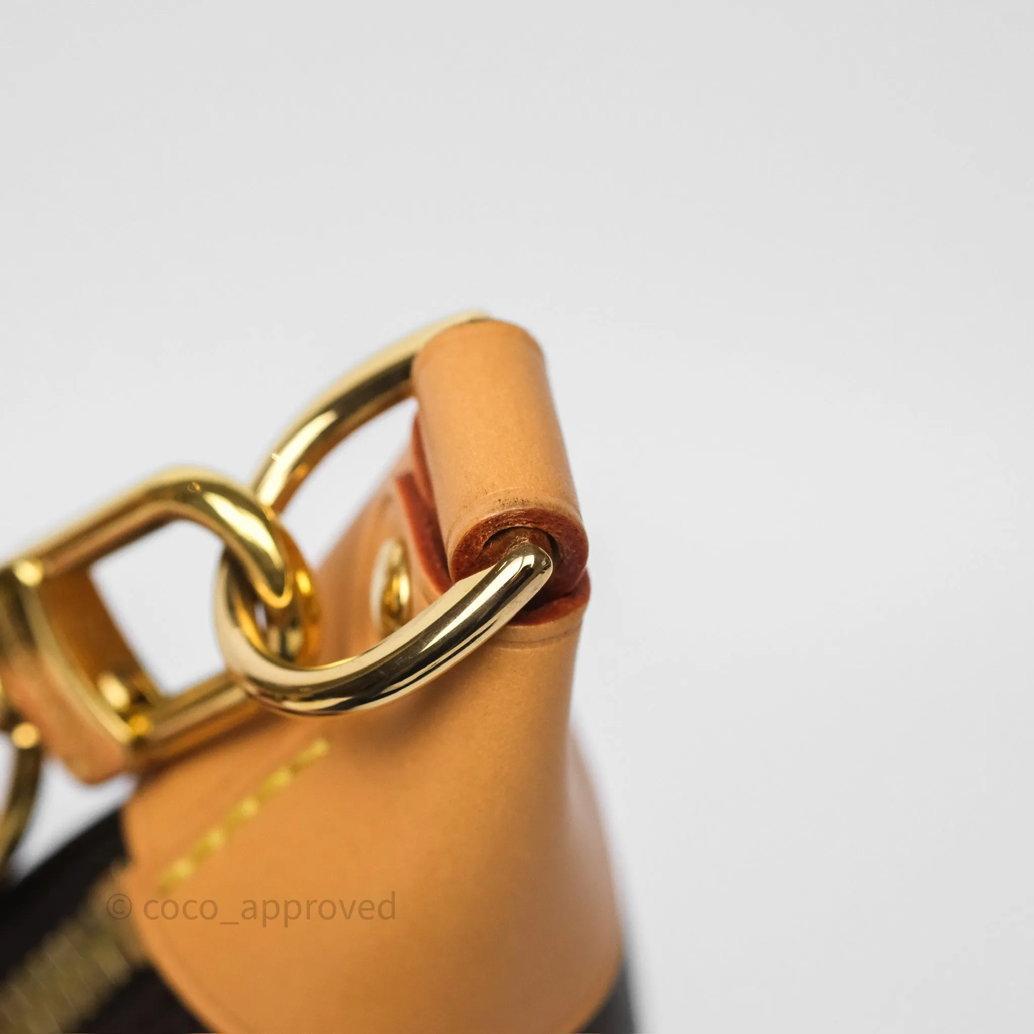 Louis Vuitton Loop Monogram Canvas