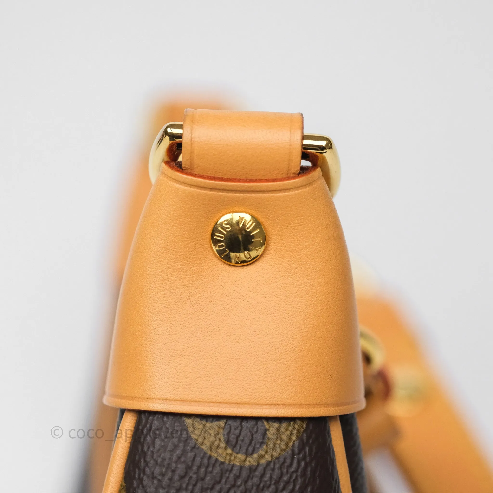 Louis Vuitton Loop Monogram Canvas