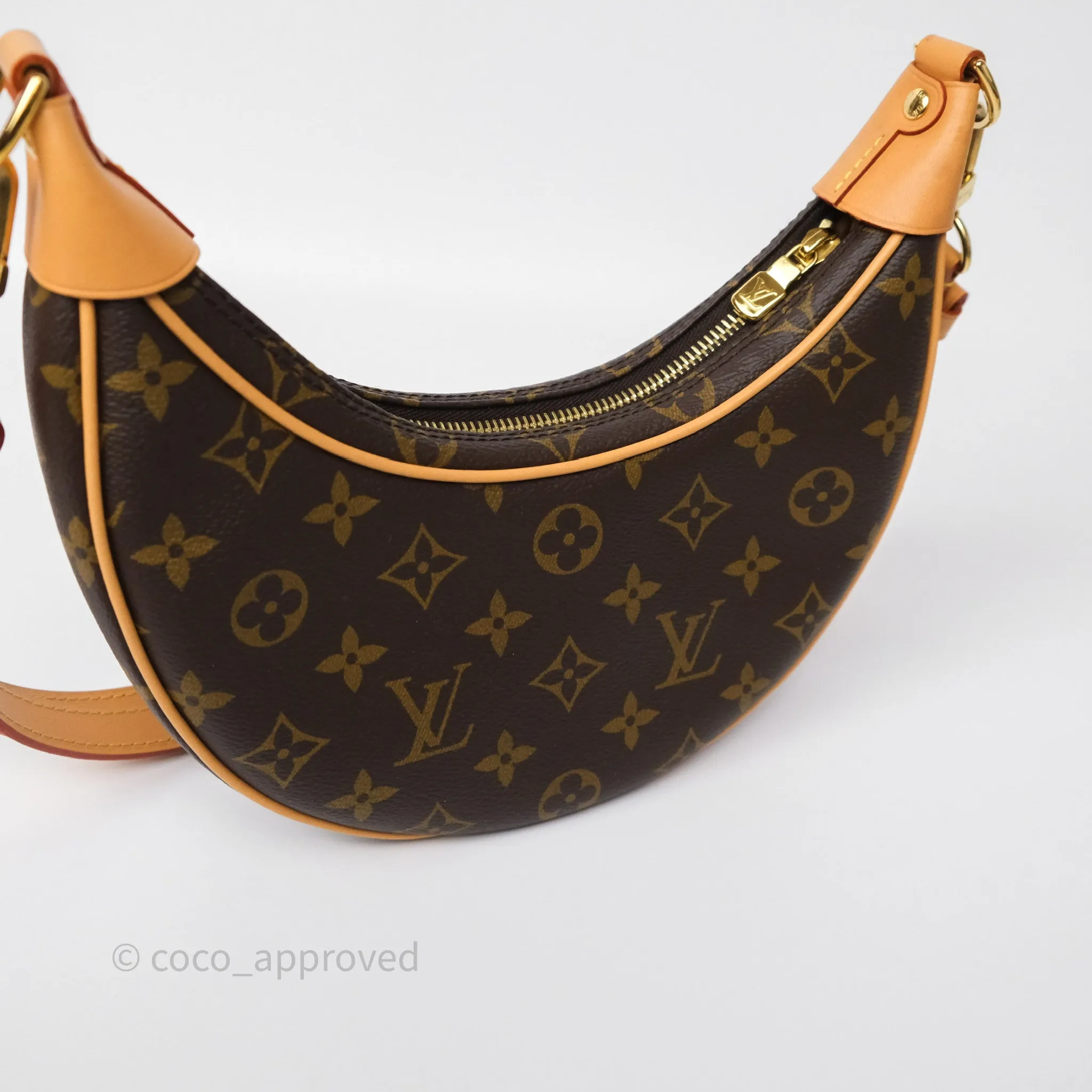 Louis Vuitton Loop Monogram Canvas