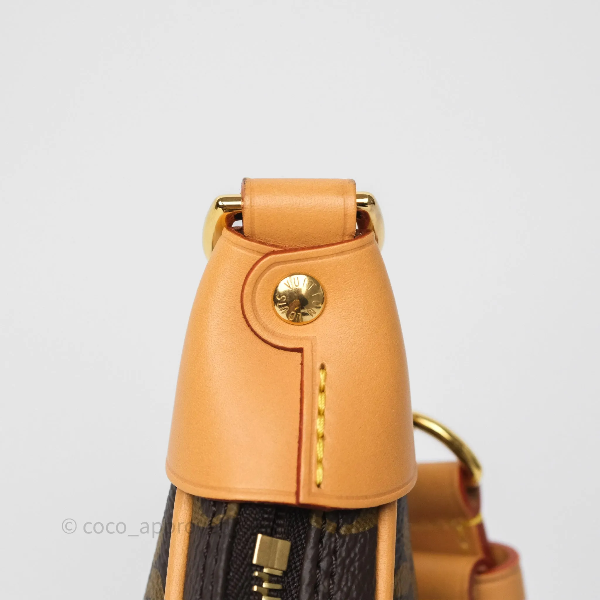 Louis Vuitton Loop Monogram Canvas