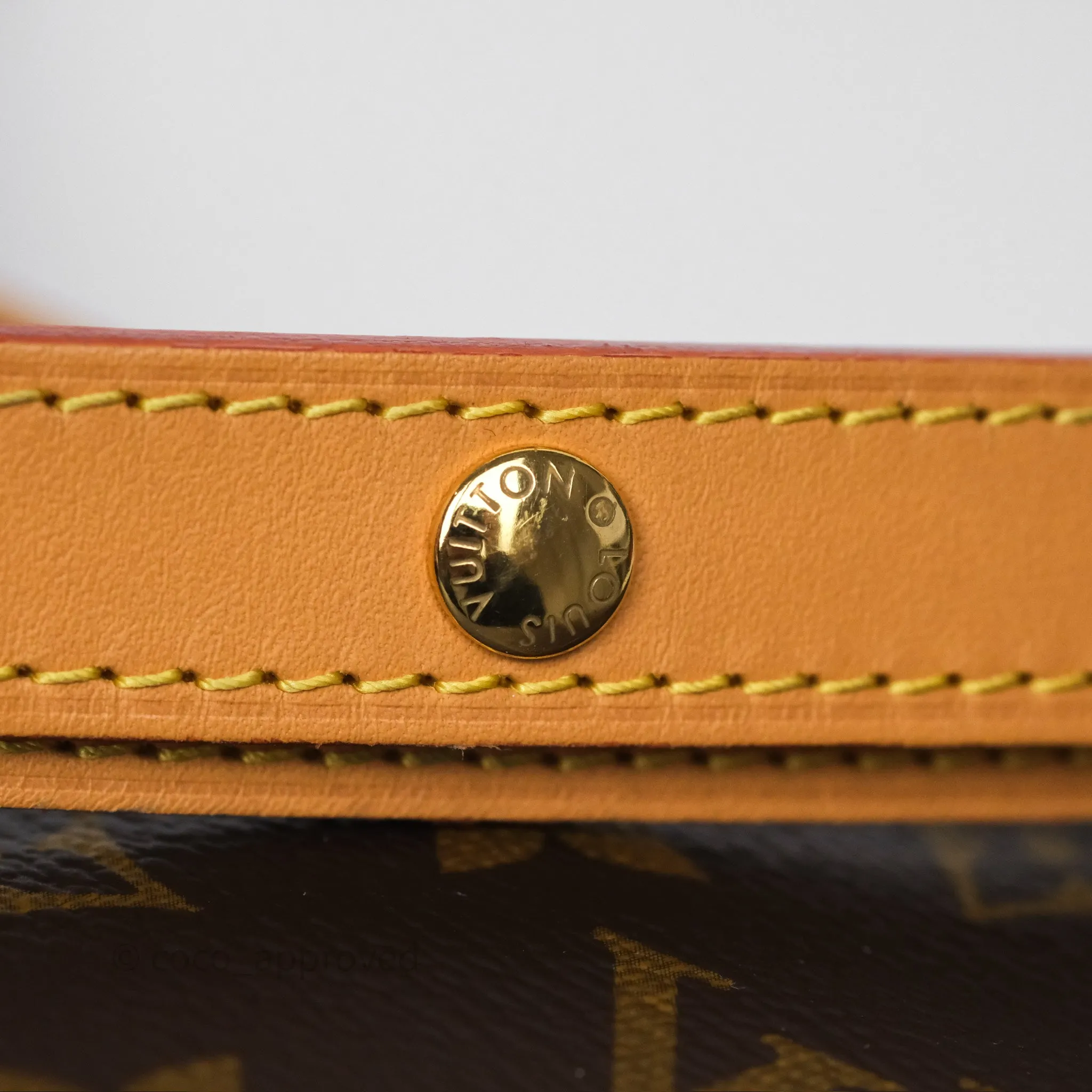 Louis Vuitton Loop Monogram Canvas